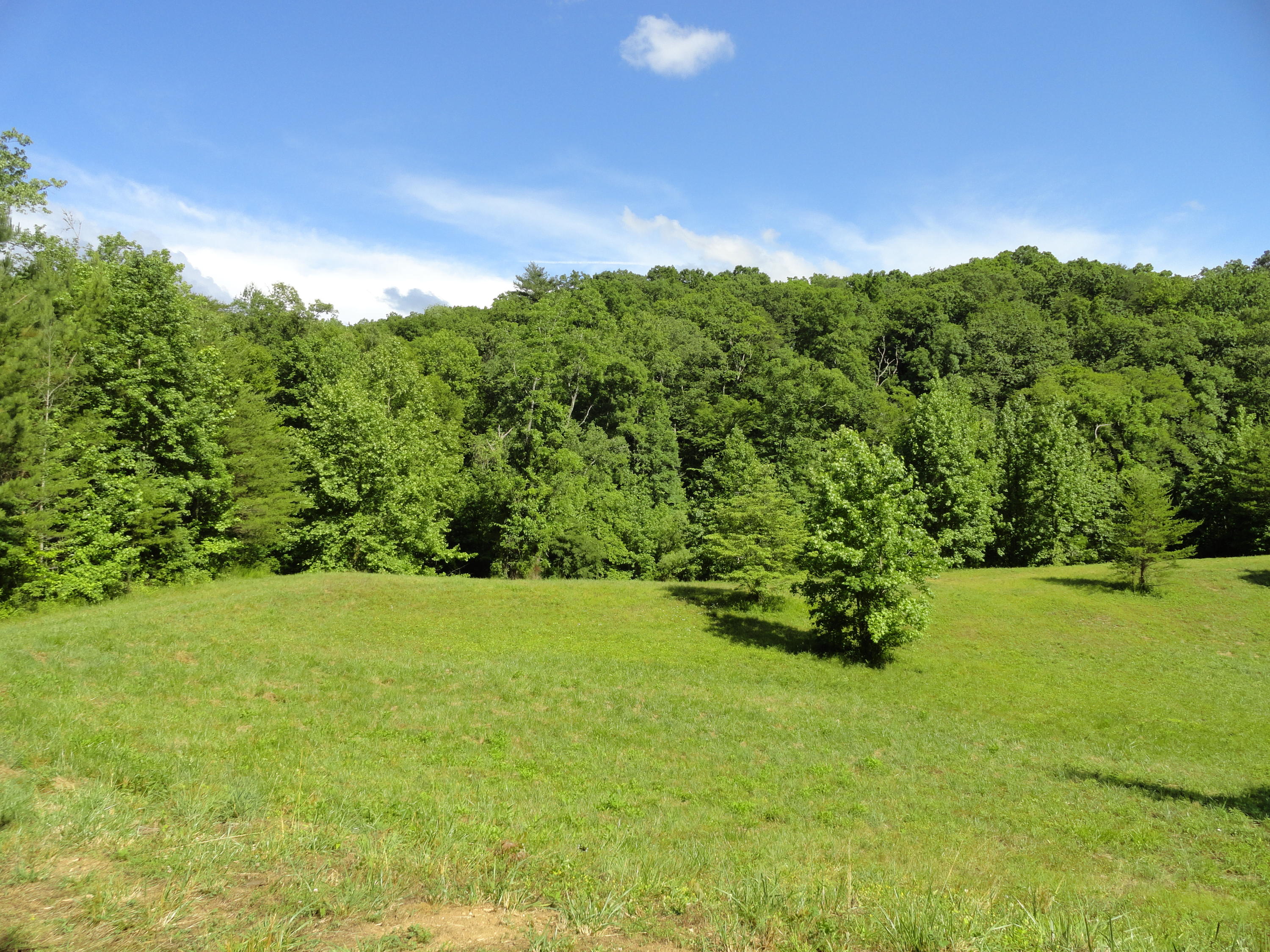 Marlow Road Clinton, TN 37716 - Photo 1 of 39 DSC06775
