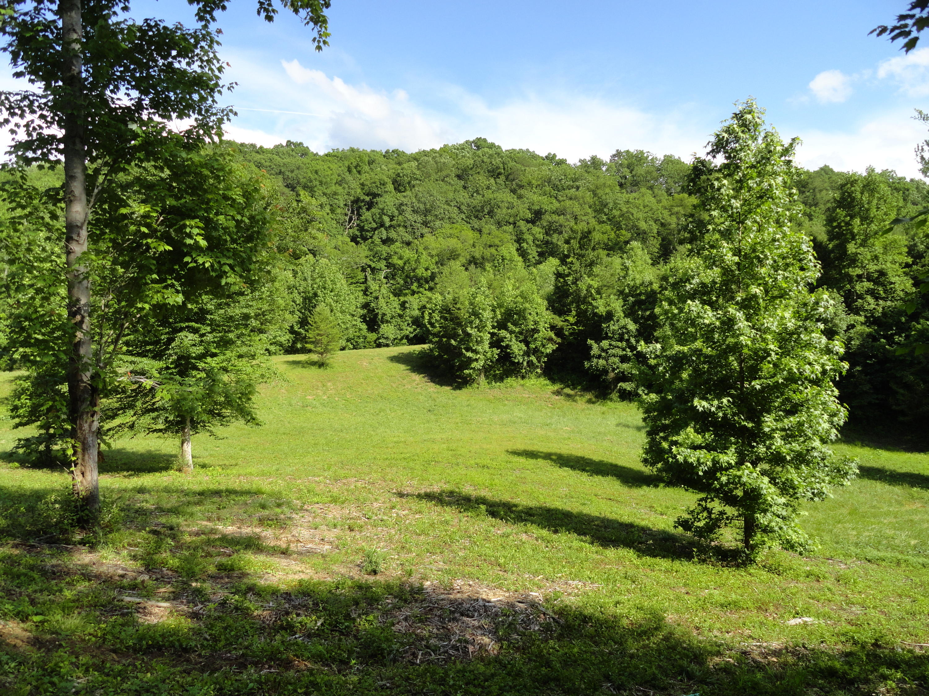 Marlow Road Clinton, TN 37716 - Photo 2 of 39 DSC06774