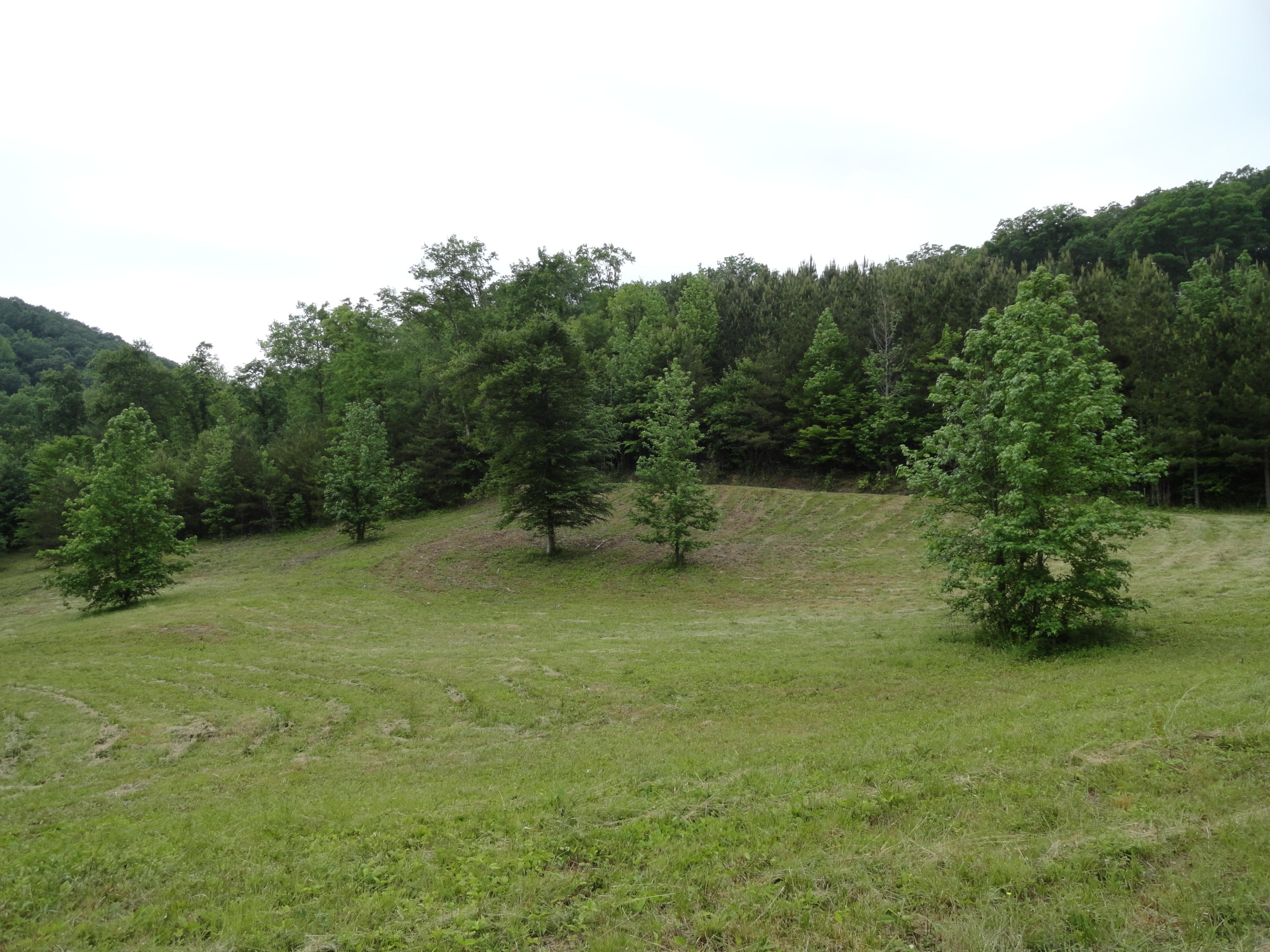Marlow Road Clinton, TN 37716 - Photo 11 of 39 DSC06690