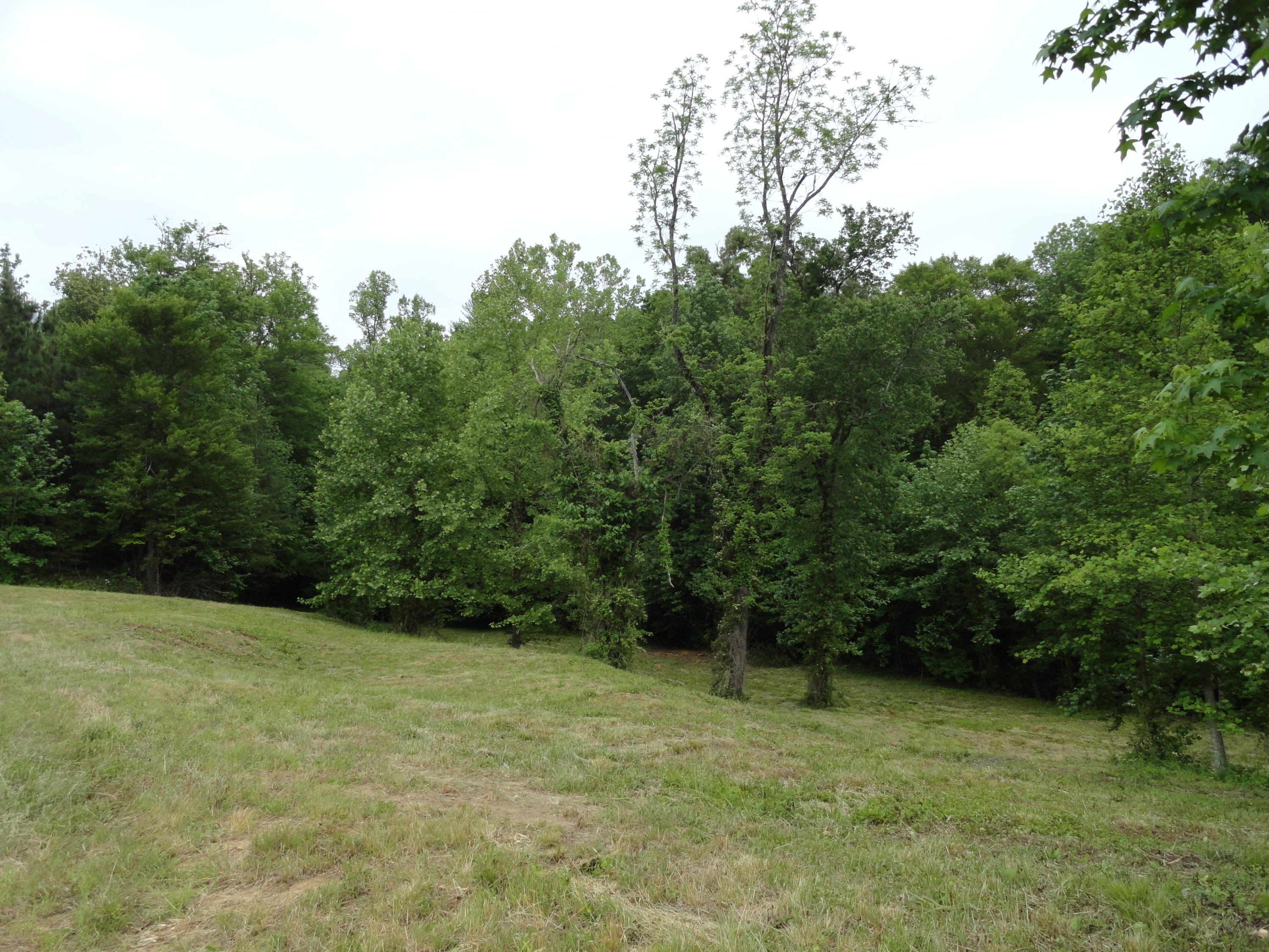 Marlow Road Clinton, TN 37716 - Photo 13 of 39 DSC06692