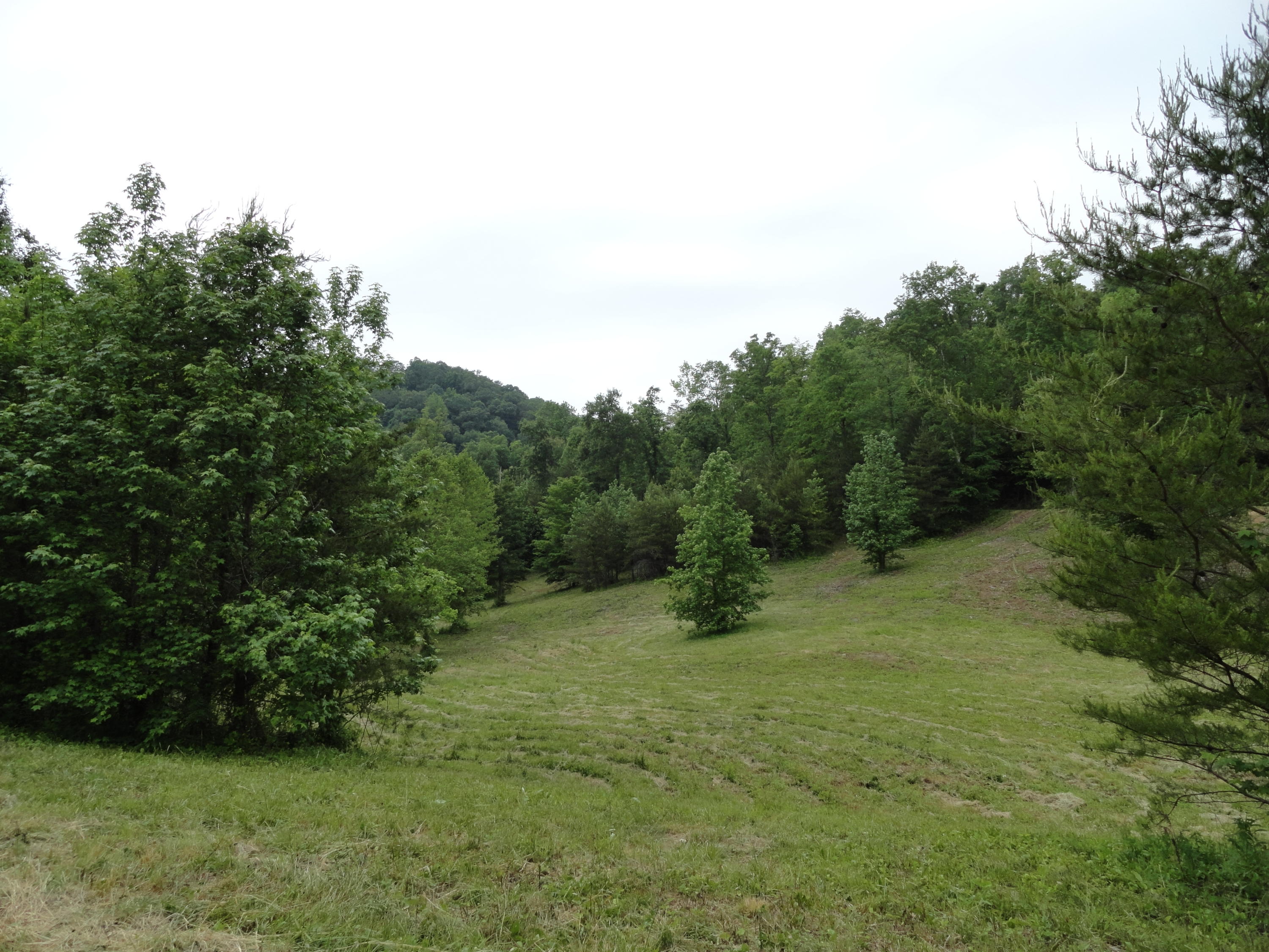 Marlow Road Clinton, TN 37716 - Photo 14 of 39 DSC06693