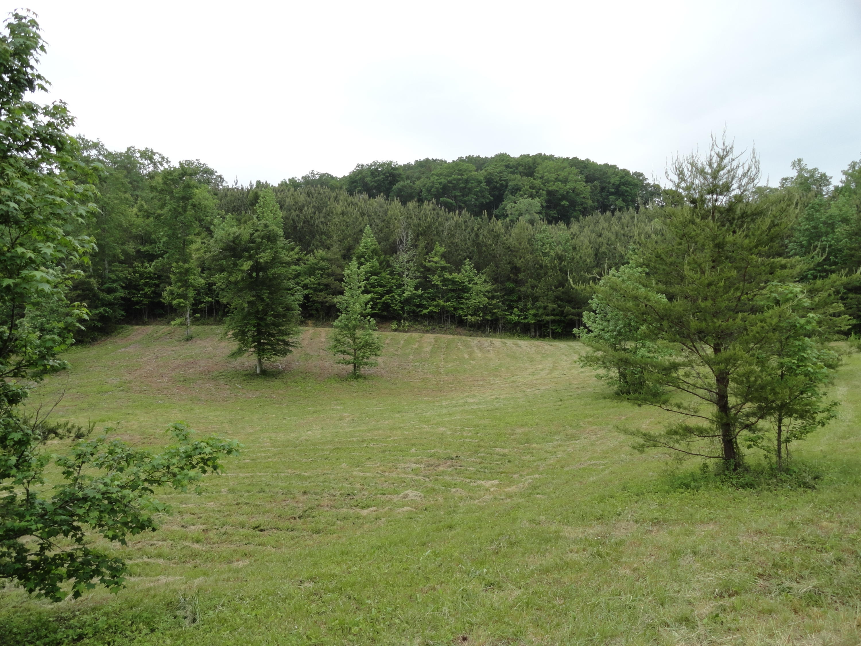 Marlow Road Clinton, TN 37716 - Photo 15 of 39 DSC06694