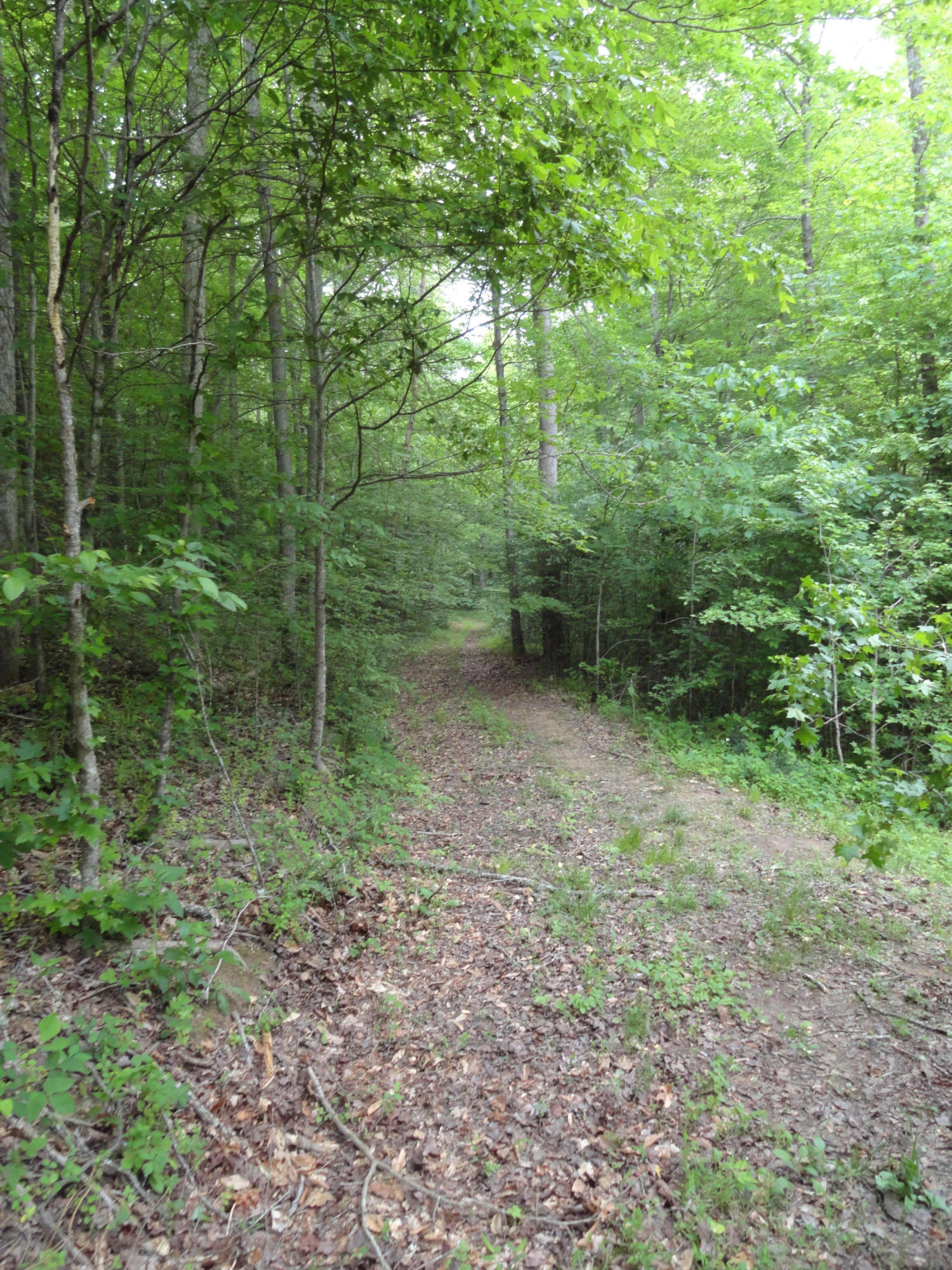 Marlow Road Clinton, TN 37716 - Photo 16 of 39 DSC06695