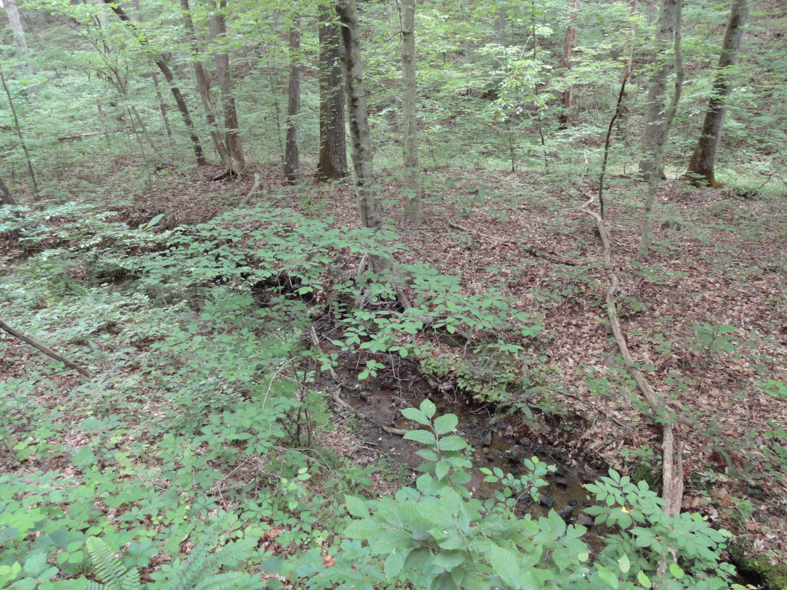 Marlow Road Clinton, TN 37716 - Photo 18 of 39 DSC06697