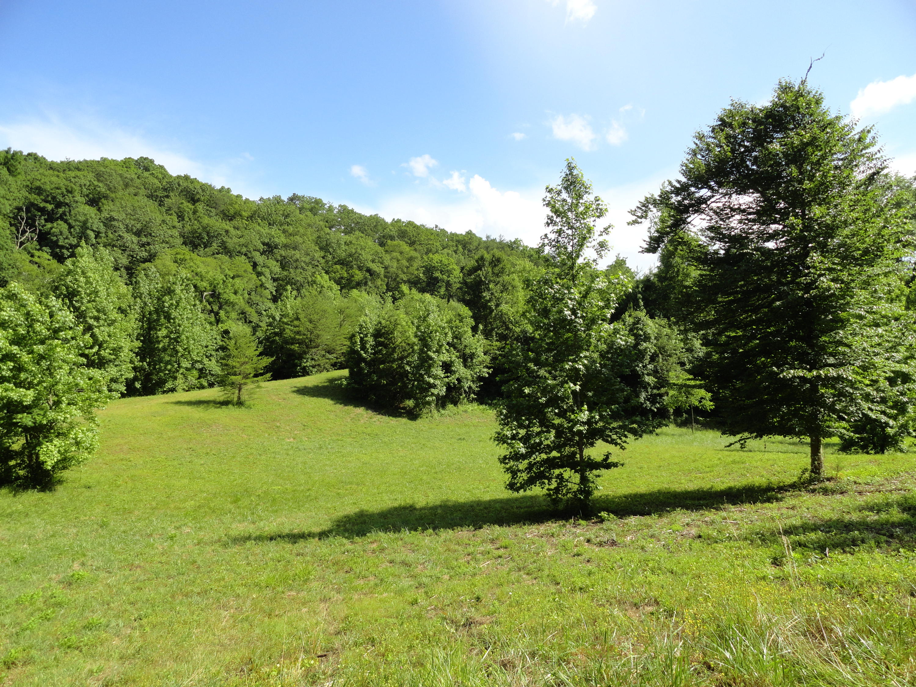 Marlow Road Clinton, TN 37716 - Photo 3 of 39 DSC06776