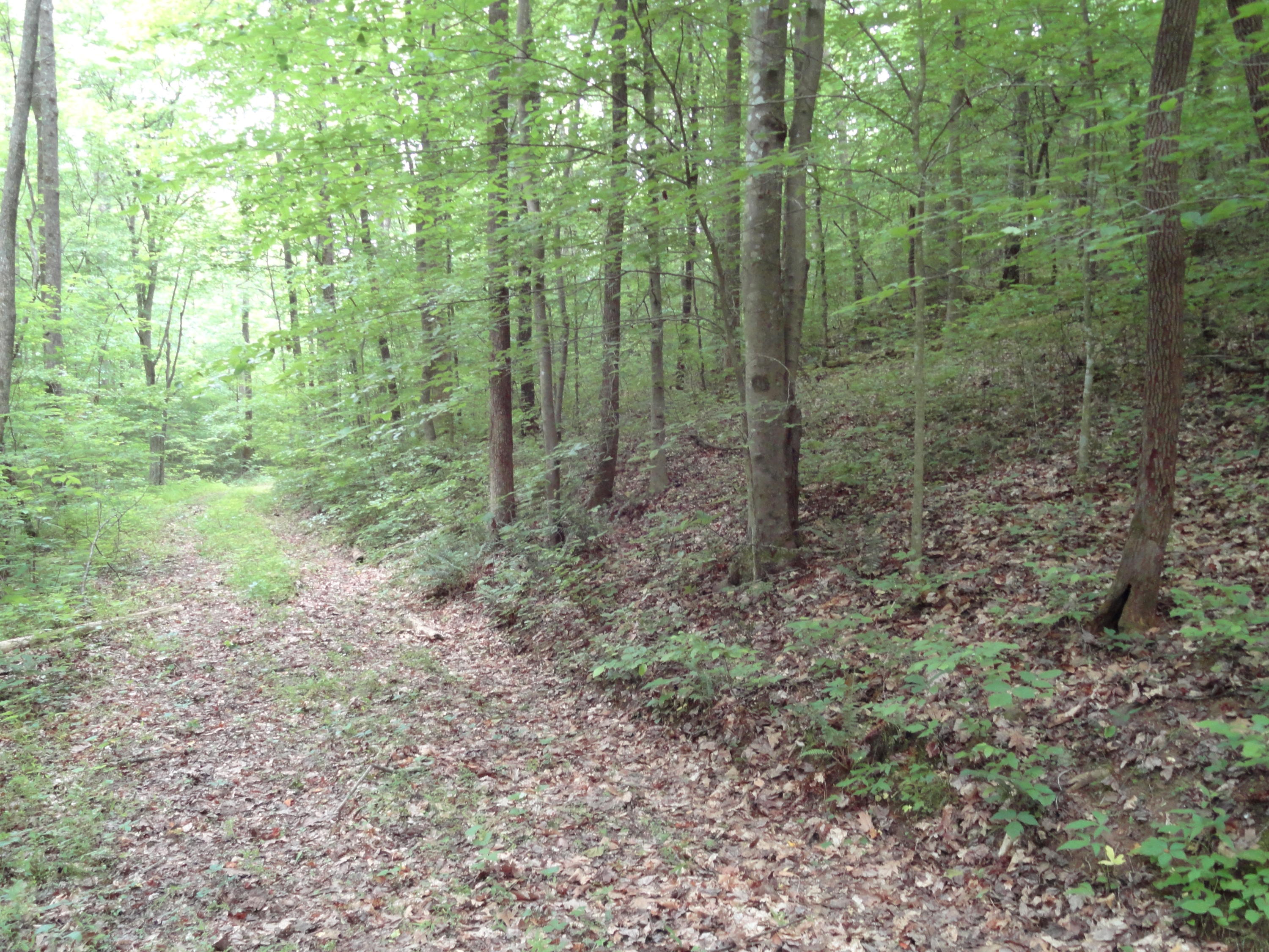 Marlow Road Clinton, TN 37716 - Photo 21 of 39 DSC06700