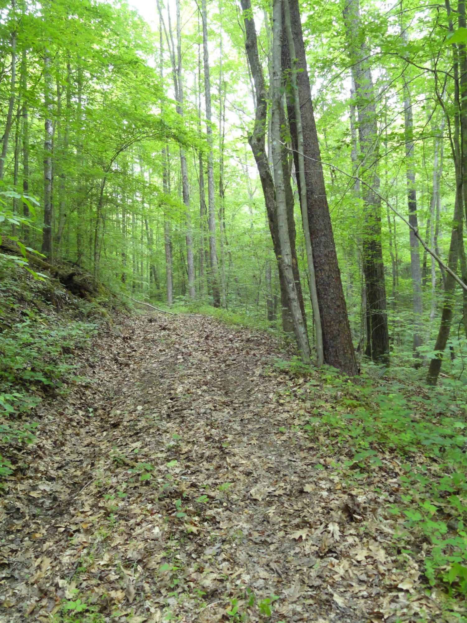 Marlow Road Clinton, TN 37716 - Photo 23 of 39 DSC06702