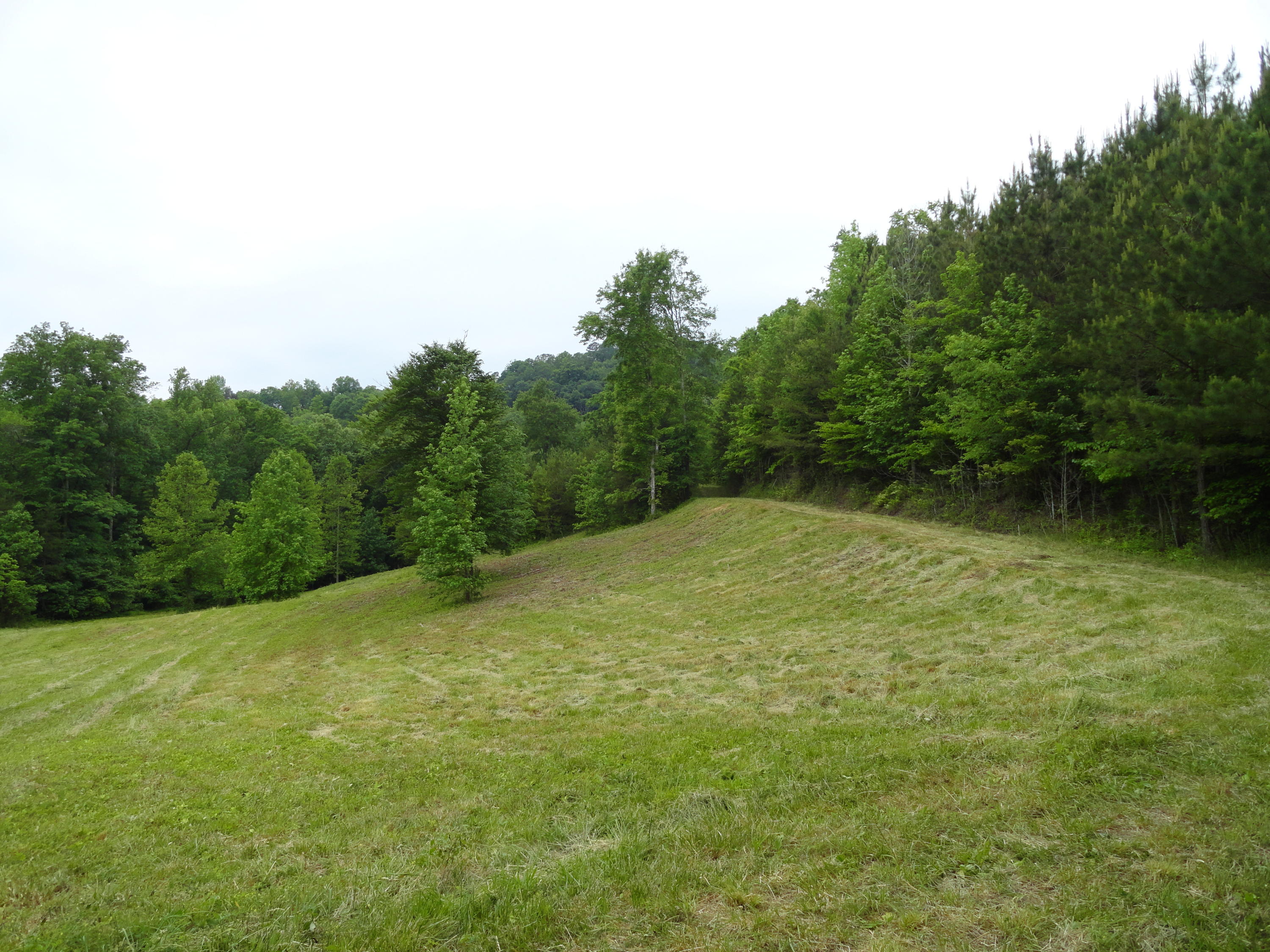 Marlow Road Clinton, TN 37716 - Photo 24 of 39 DSC06703