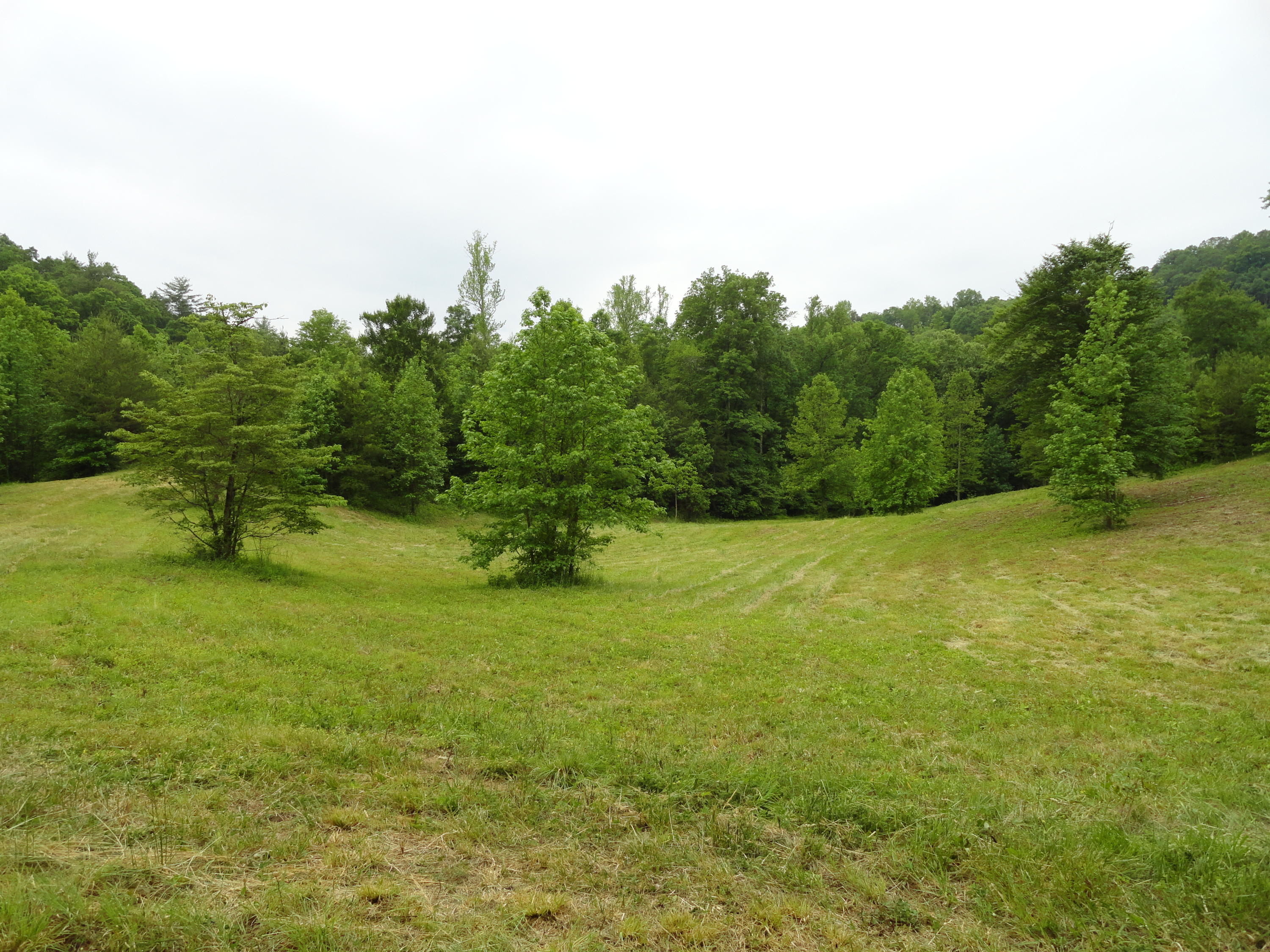Marlow Road Clinton, TN 37716 - Photo 25 of 39 DSC06704