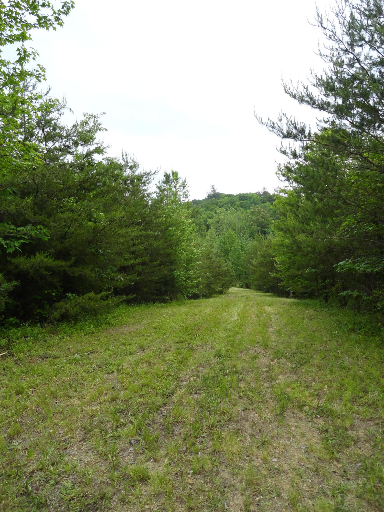Marlow Road Clinton, TN 37716 - Photo 26 of 39 DSC06705