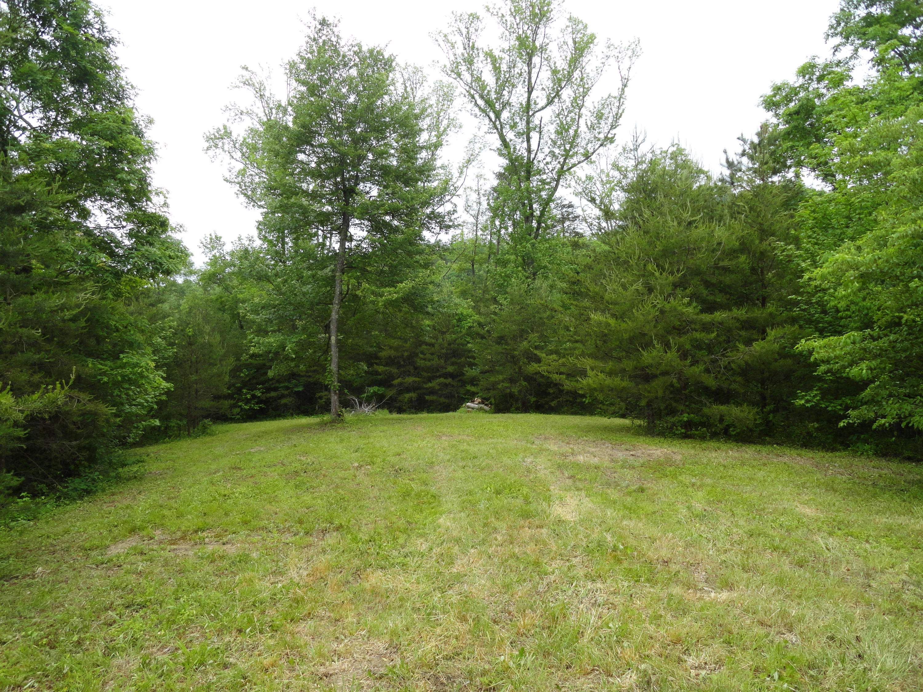 Marlow Road Clinton, TN 37716 - Photo 27 of 39 DSC06706