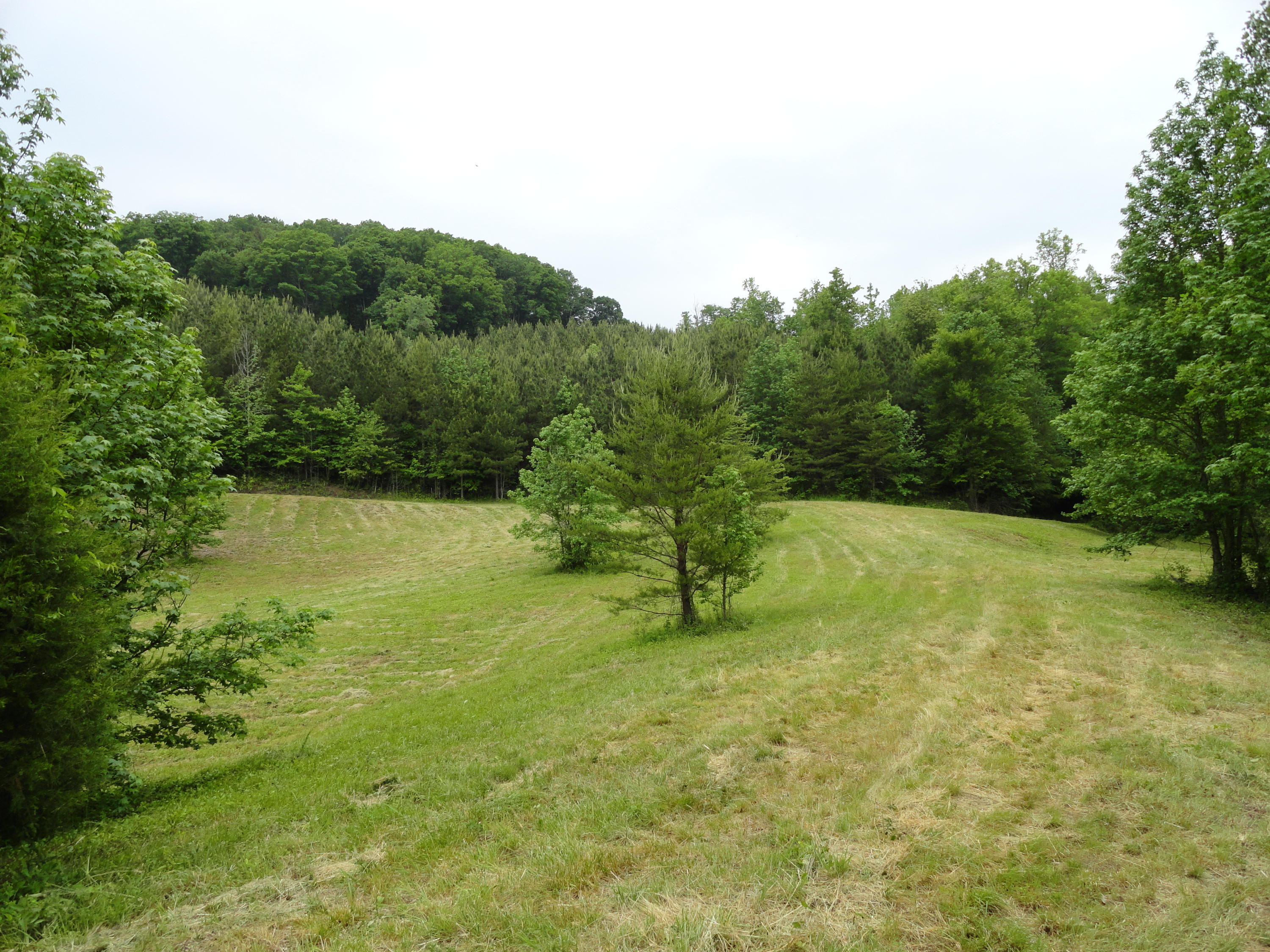 Marlow Road Clinton, TN 37716 - Photo 28 of 39 DSC06707