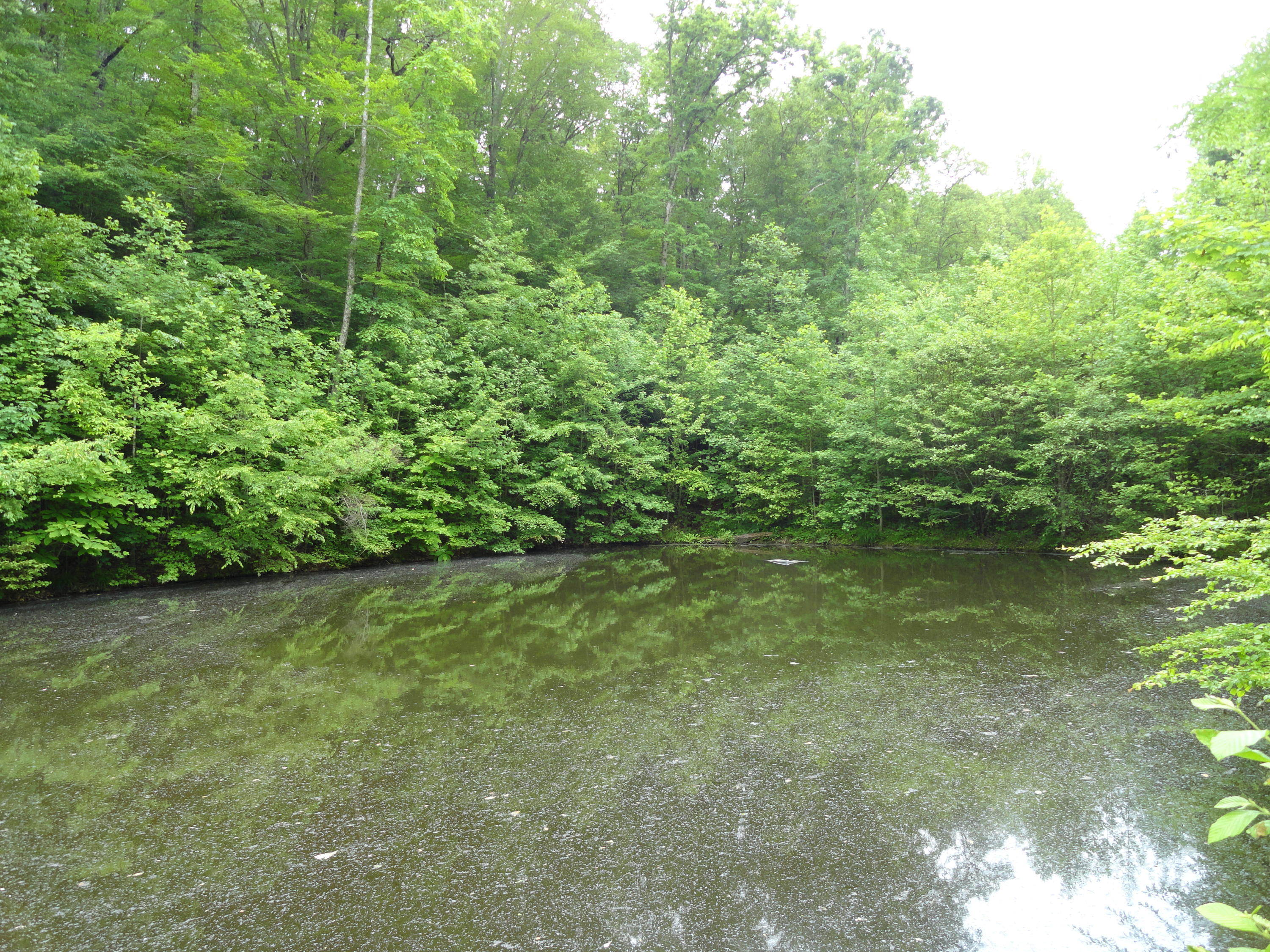 Marlow Road Clinton, TN 37716 - Photo 29 of 39 DSC06708