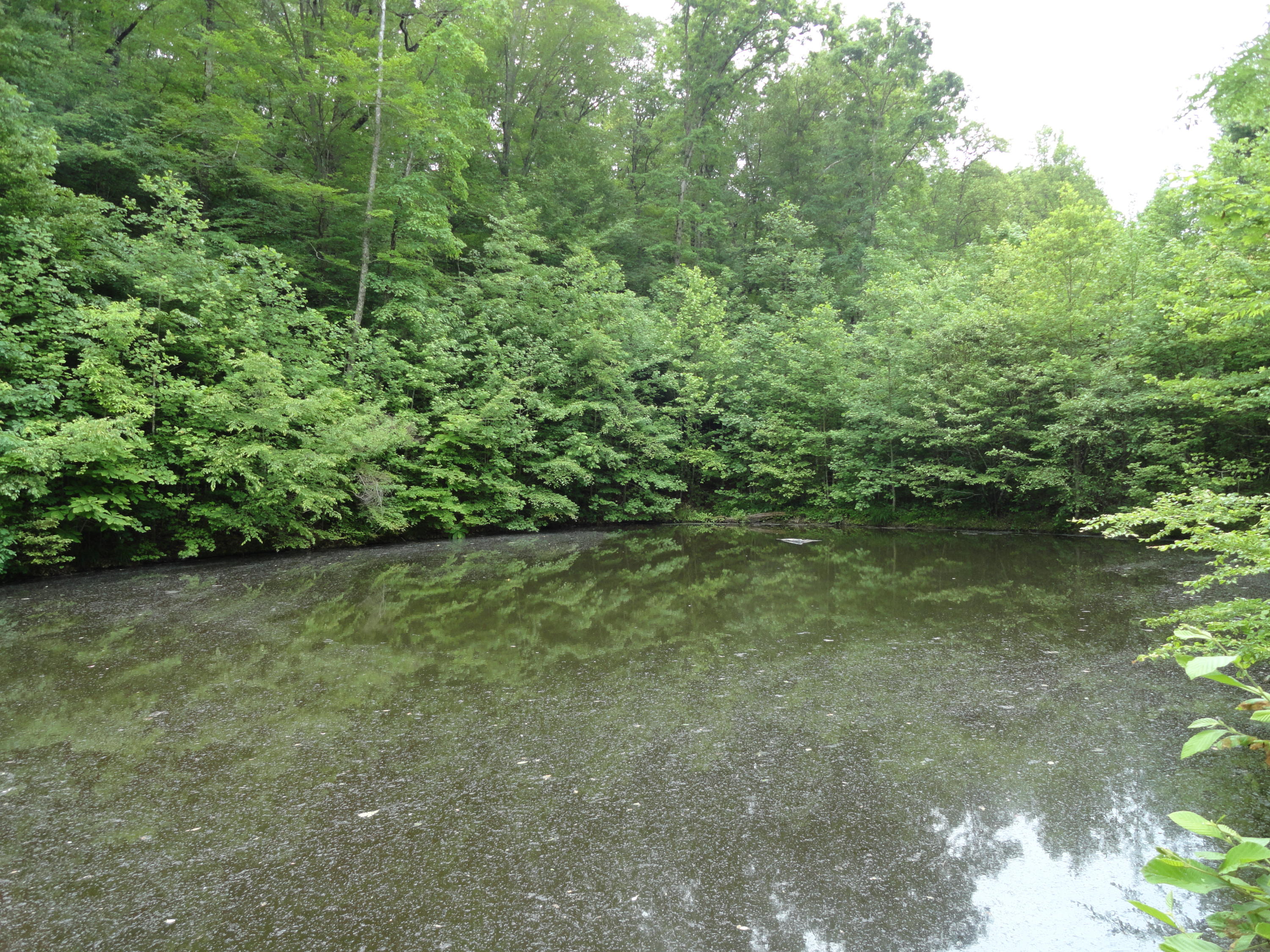 Marlow Road Clinton, TN 37716 - Photo 31 of 39 DSC06710
