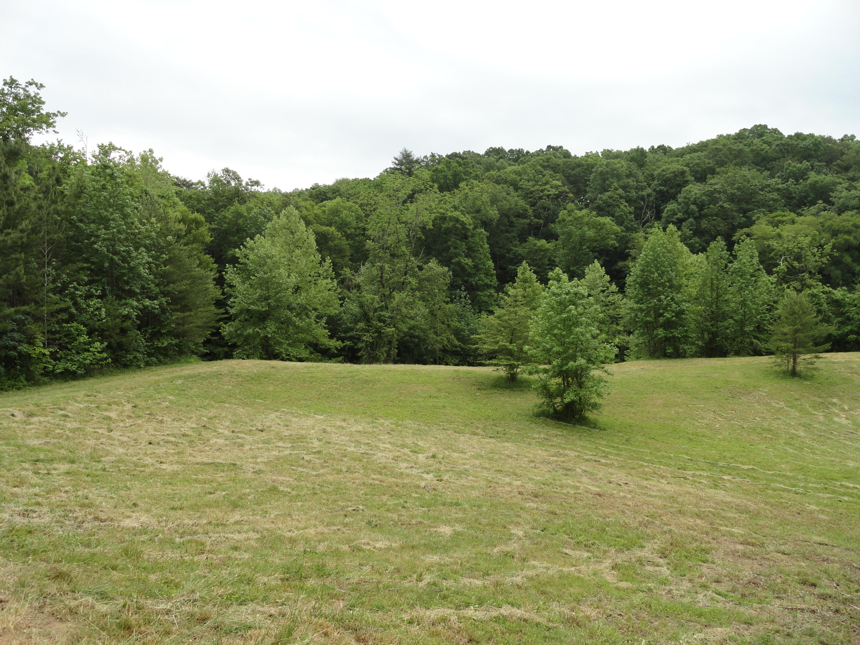 Marlow Road Clinton, TN 37716 - Photo 34 of 39 DSC06713
