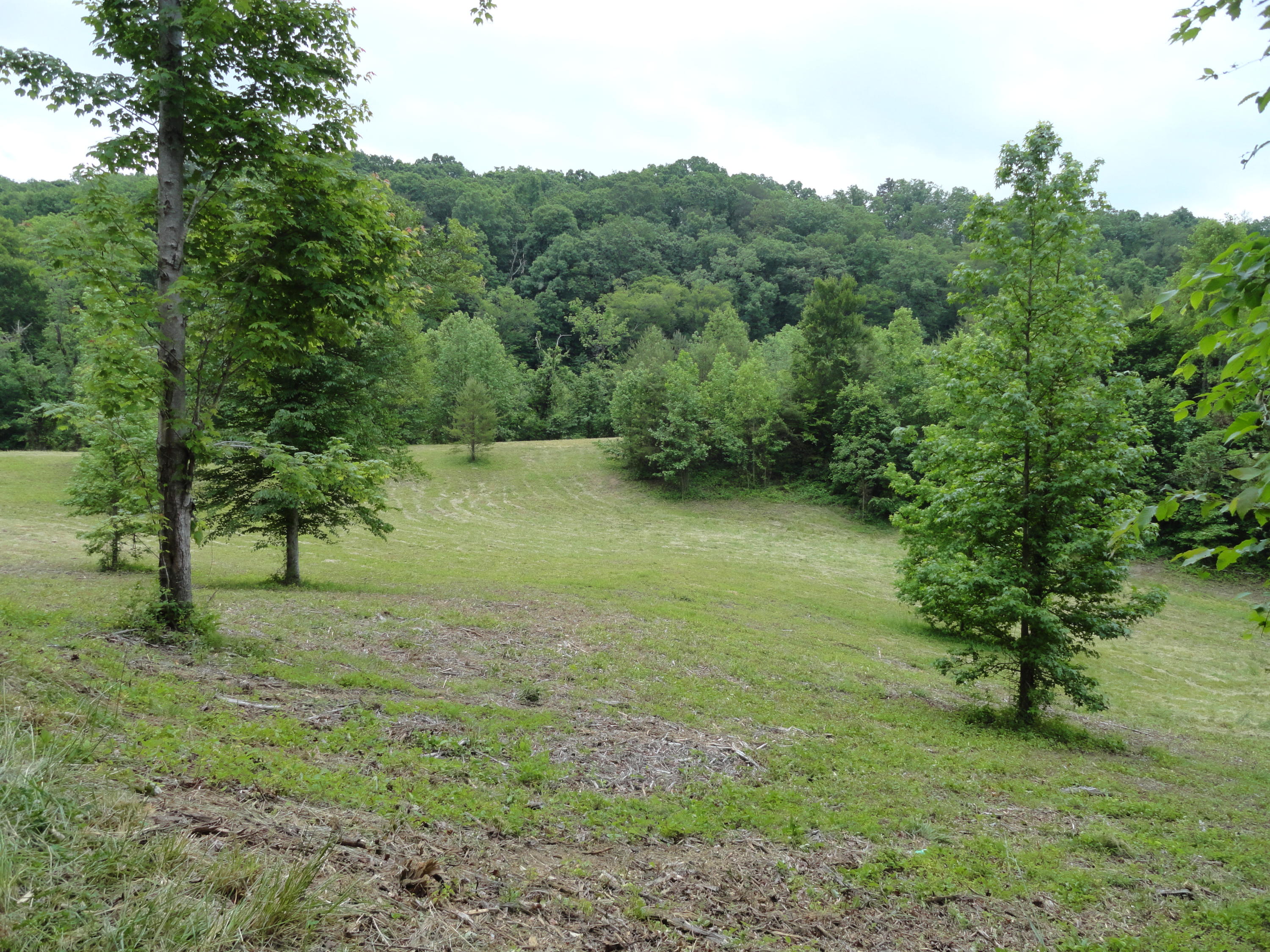 Marlow Road Clinton, TN 37716 - Photo 35 of 39 DSC06714