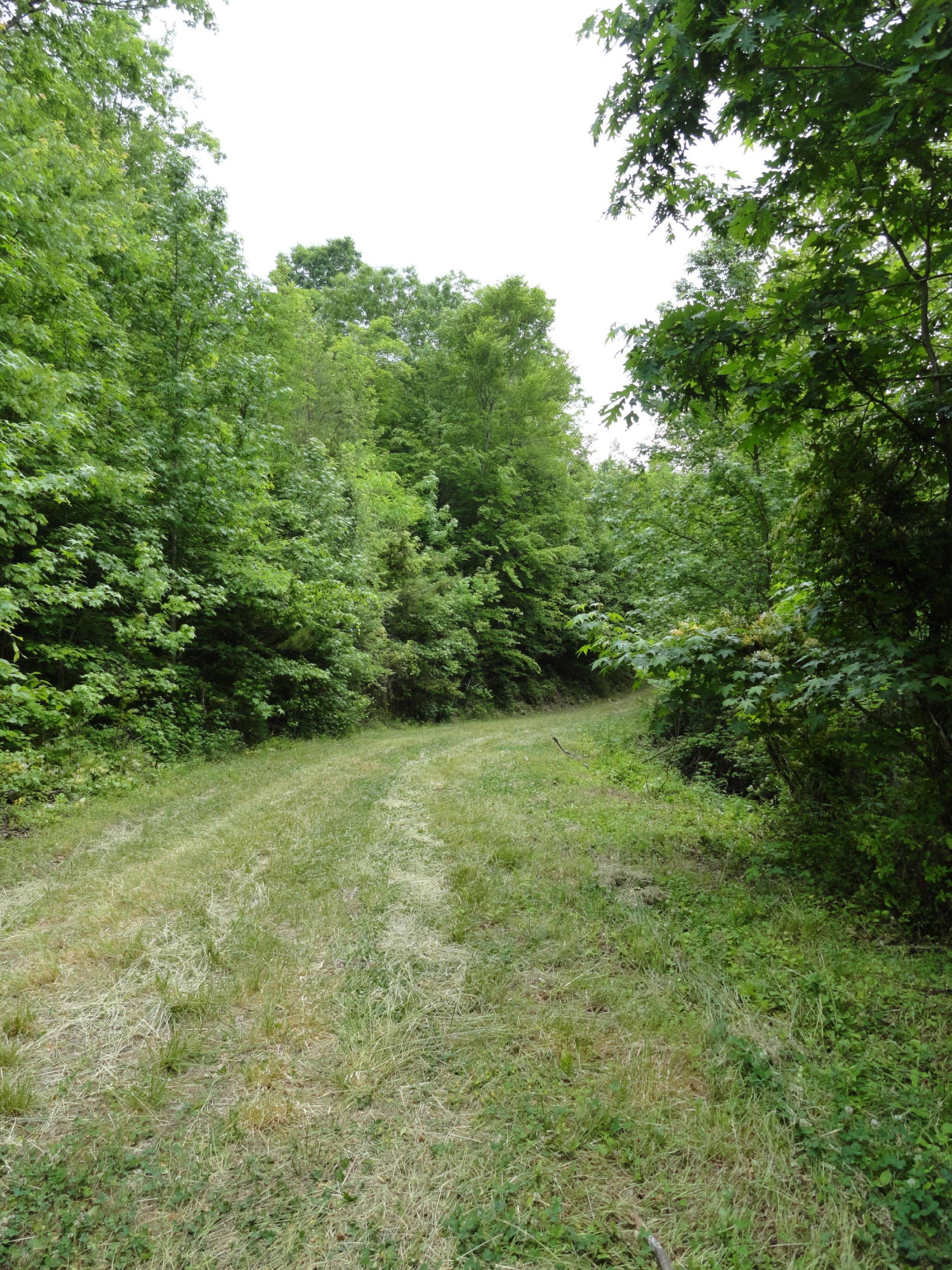 Marlow Road Clinton, TN 37716 - Photo 36 of 39 DSC06715