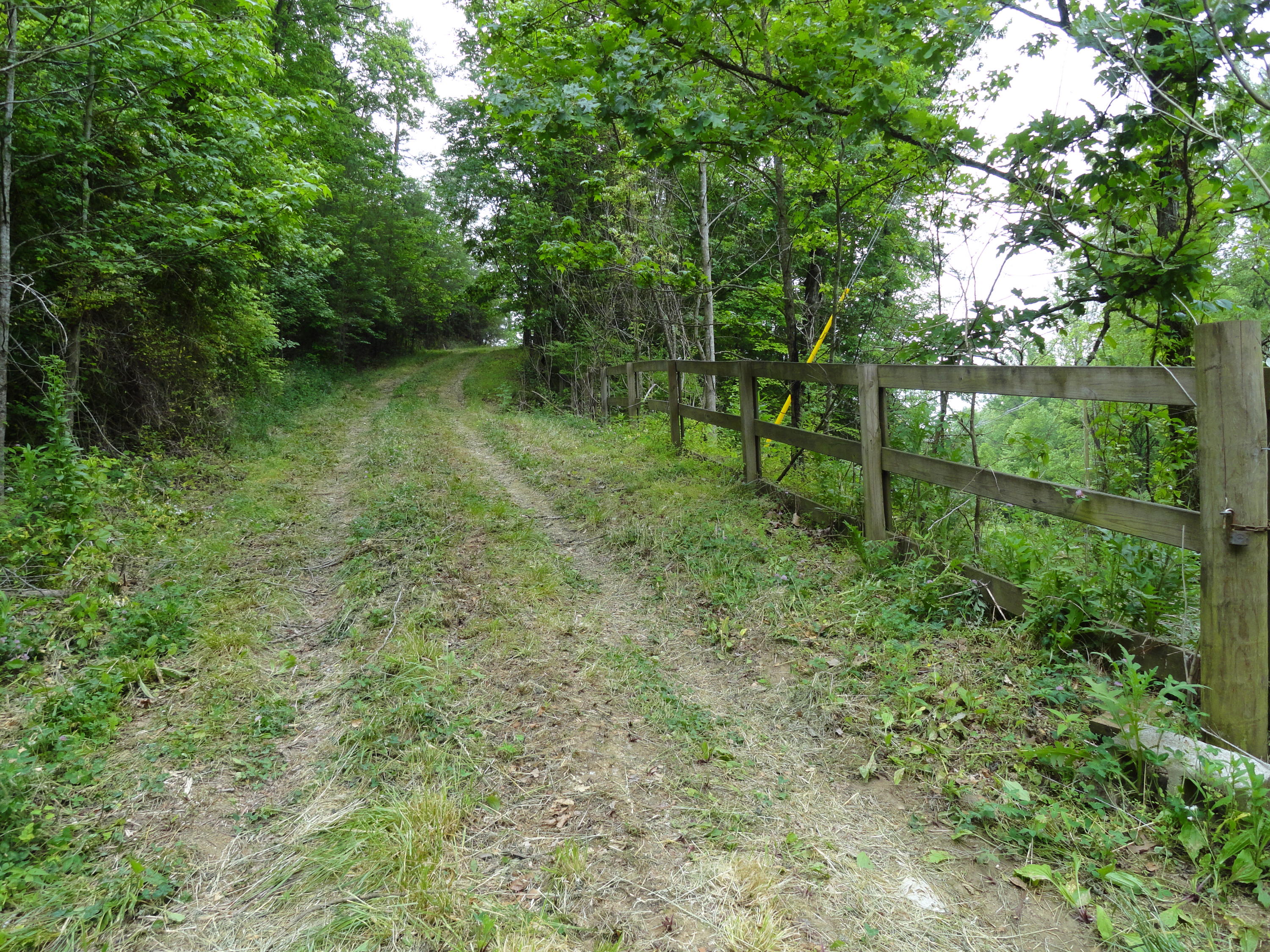 Marlow Road Clinton, TN 37716 - Photo 37 of 39 DSC06716
