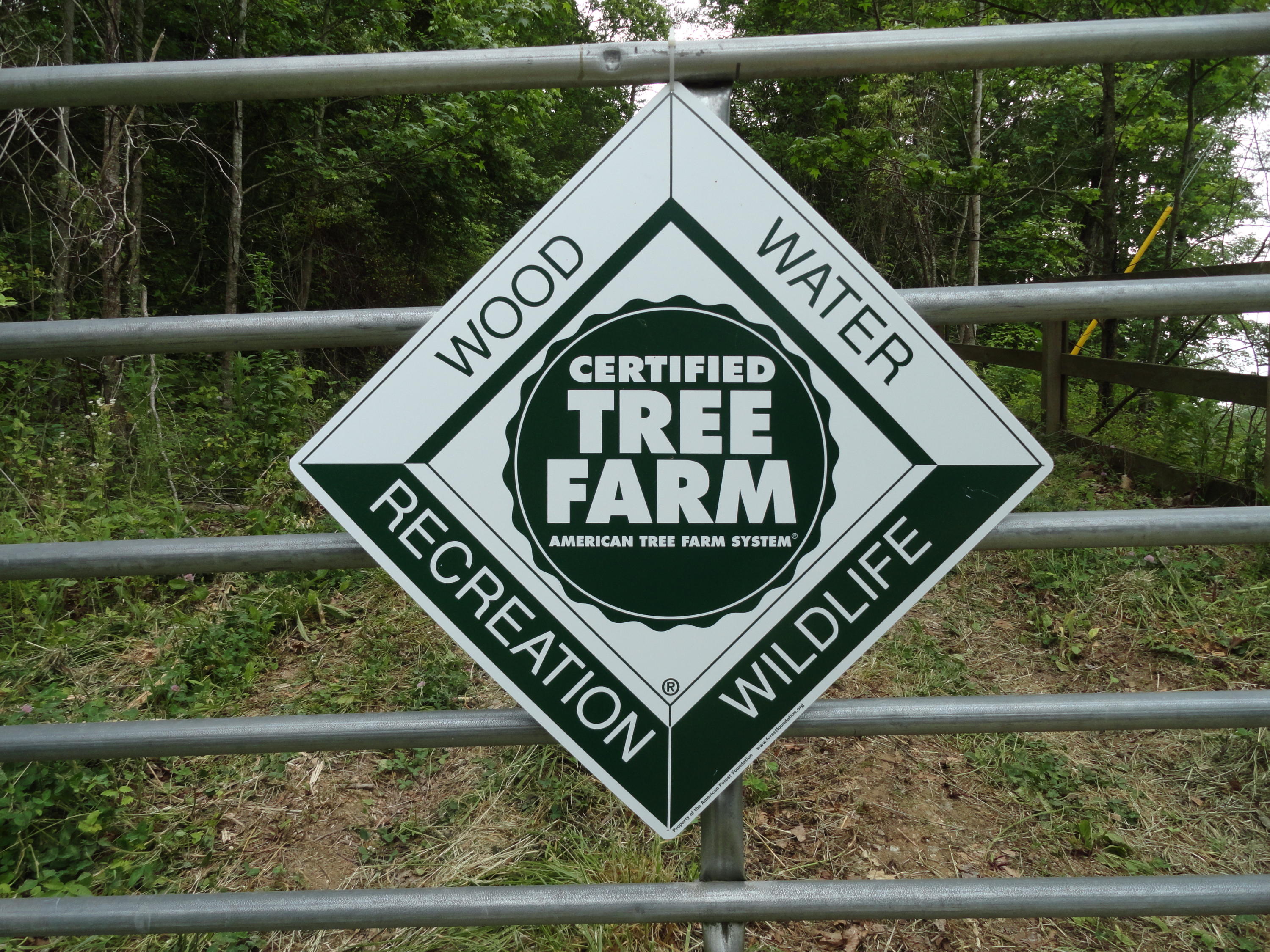 Marlow Road Clinton, TN 37716 - Photo 38 of 39 DSC06717