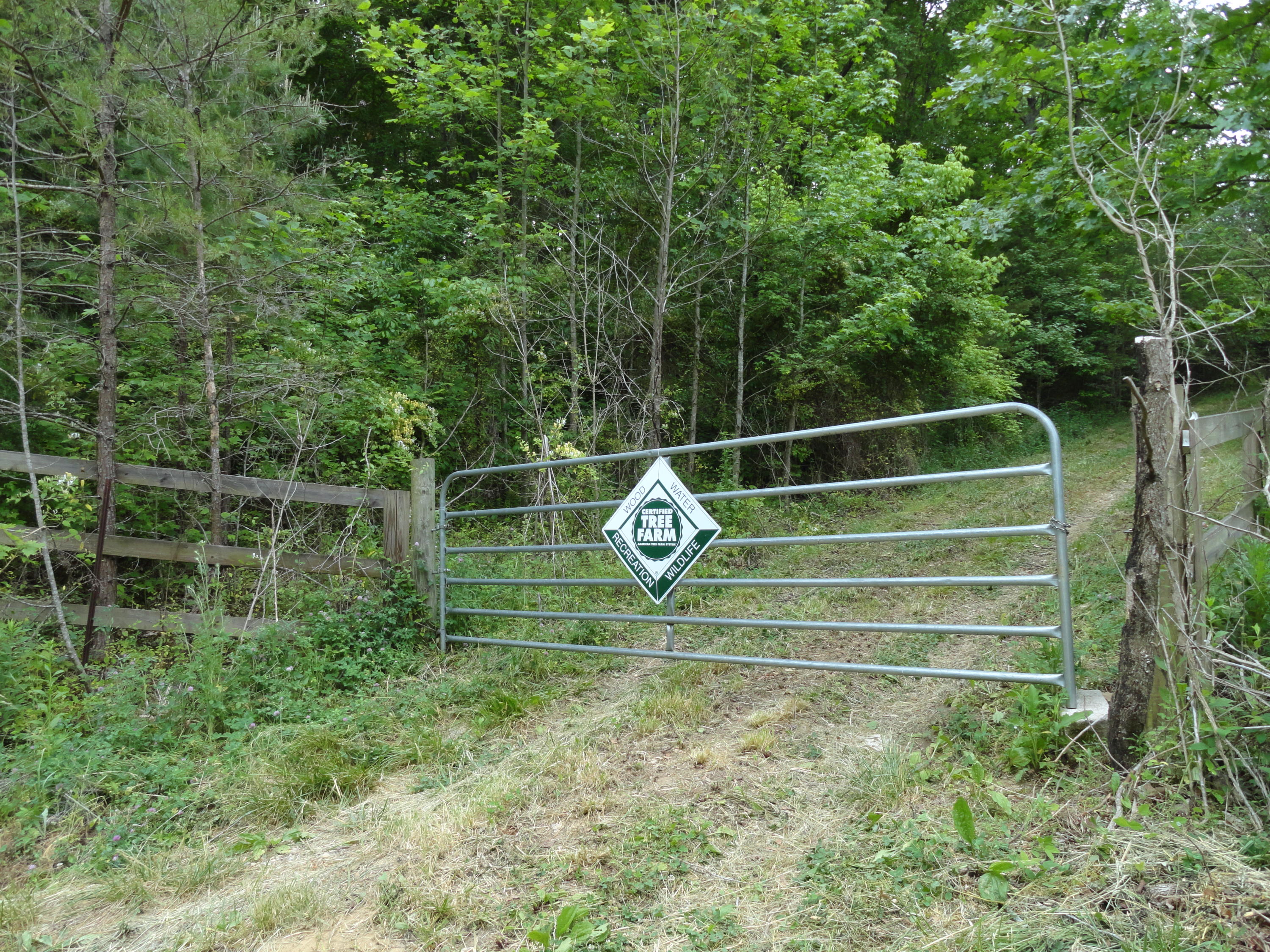 Marlow Road Clinton, TN 37716 - Photo 39 of 39 DSC06718