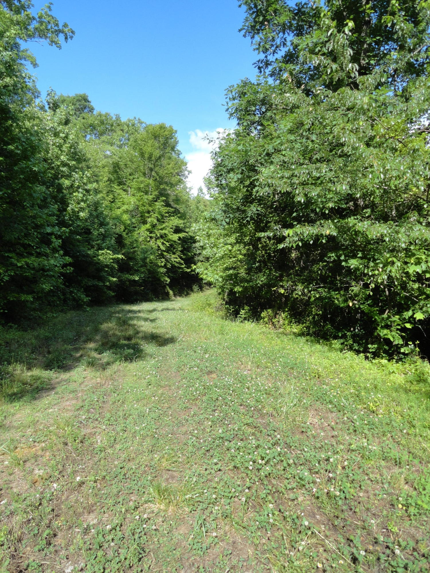 Marlow Road Clinton, TN 37716 - Photo 6 of 39 DSC06779
