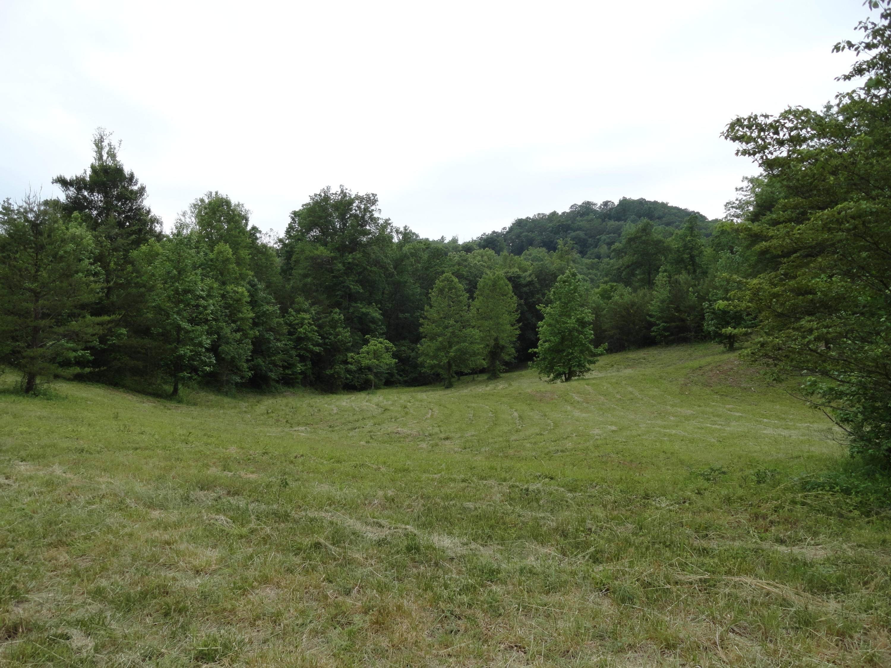 Marlow Road Clinton, TN 37716 - Photo 8 of 39 DSC06687
