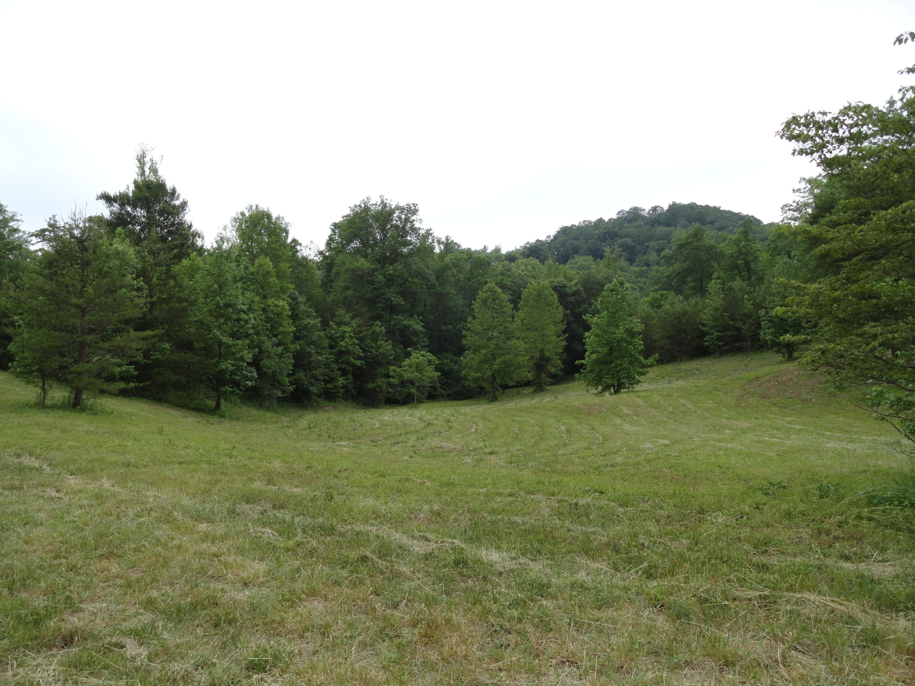 Marlow Road Clinton, TN 37716 - Photo 9 of 39 DSC06688