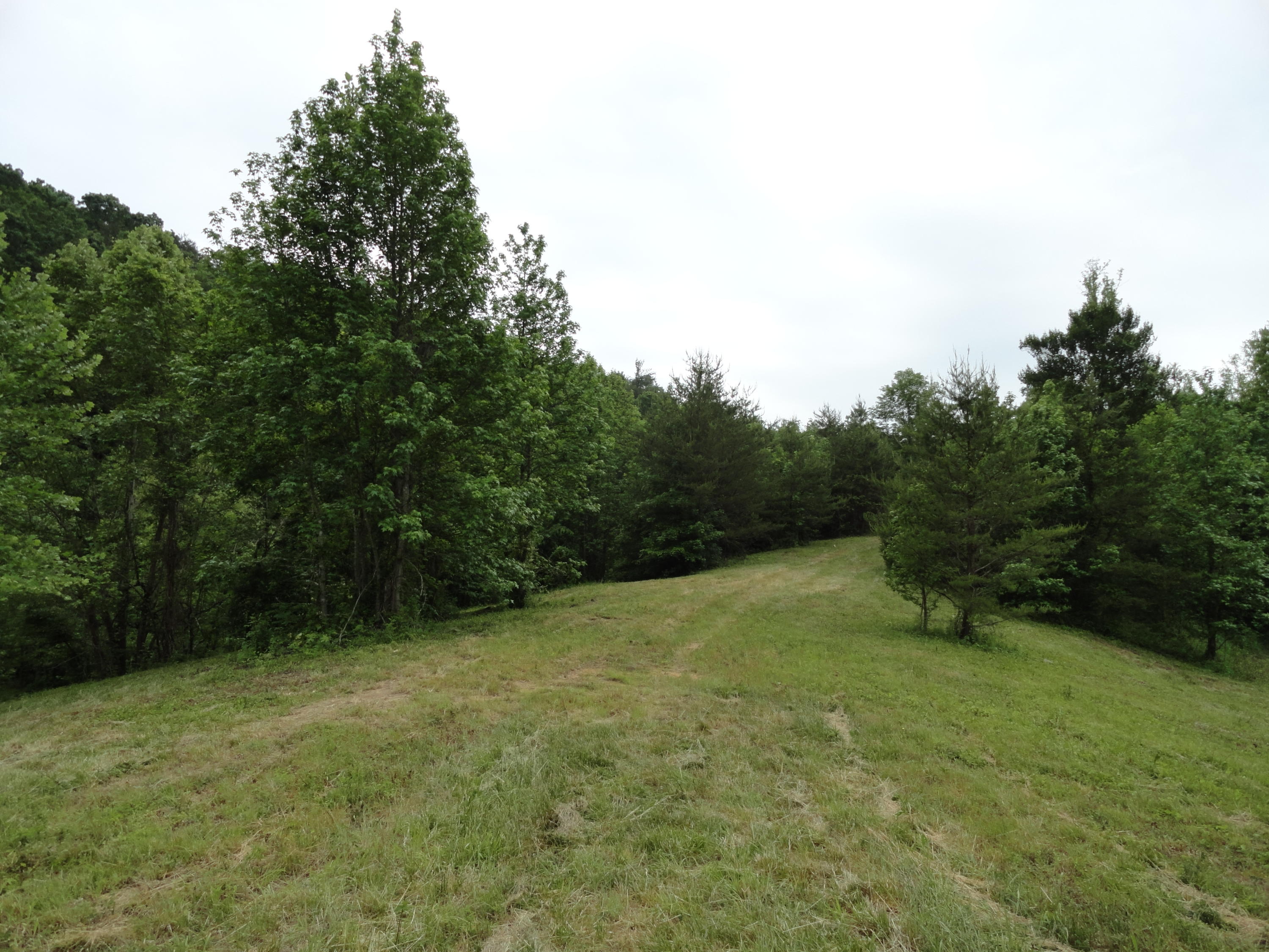 Marlow Road Clinton, TN 37716 - Photo 10 of 39 DSC06689