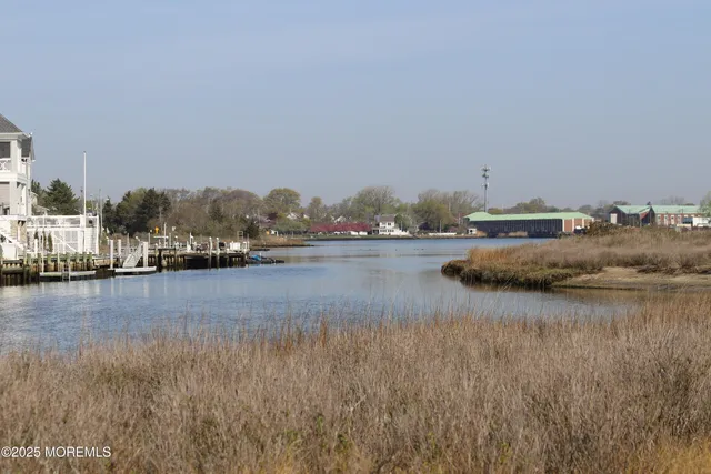 a view of ocean and trees