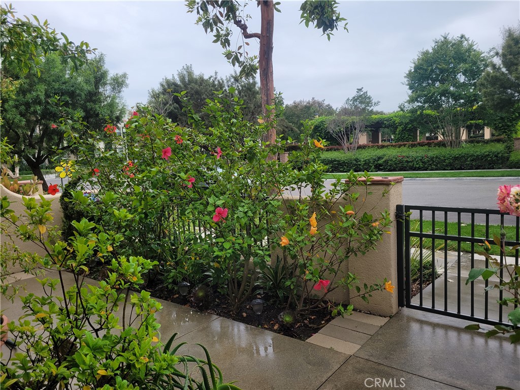 26 Opus Irvine, CA 92618 - Photo 4 of 32 a view of a garden with potted plants
