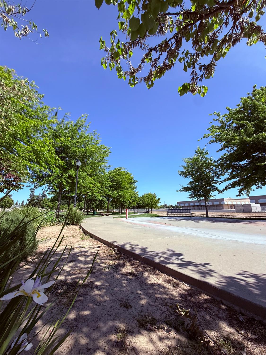 3828 Lookout Drive Modesto, CA 95355 - Photo 30 of 39 a view of an outdoor space and a yard