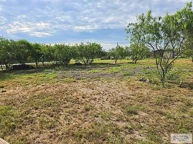 30882 Nelson Road San Benito, TX 78586 - Photo 22 of 22