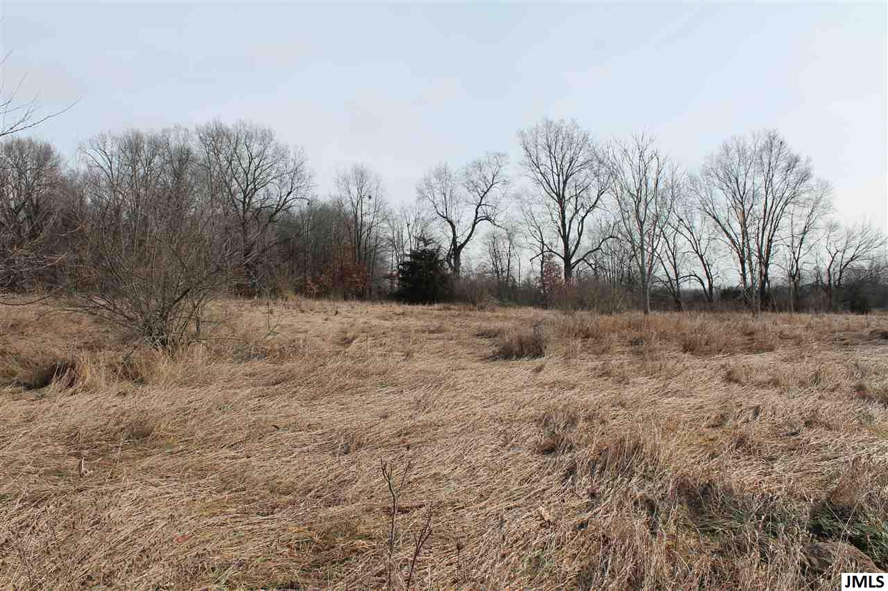 7556 Napoleon Road Jackson, MI 49201 - Photo 2 of 11 Photo 2