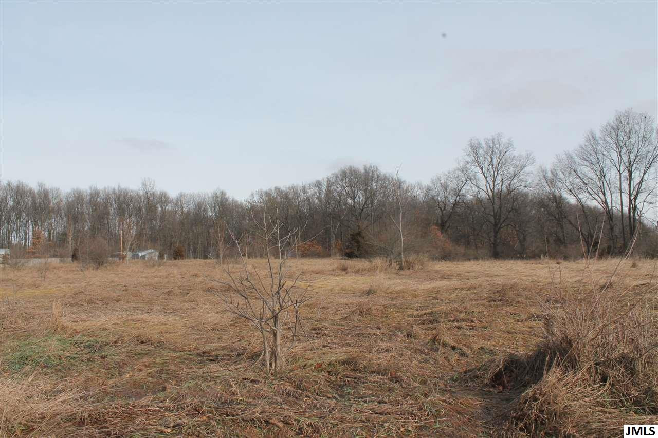 7556 Napoleon Road Jackson, MI 49201 - Photo 3 of 11 Photo 3