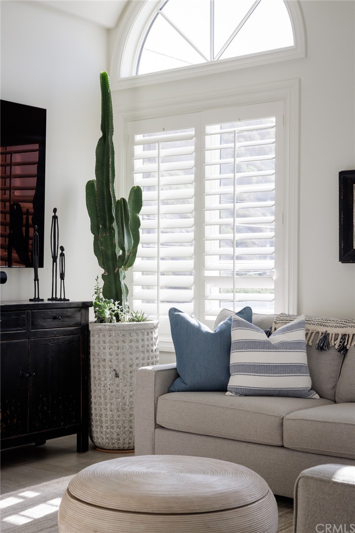 35271 Beach Road Dana Point, CA 92624 - Photo 35 of 61 a living room with furniture and a potted plant