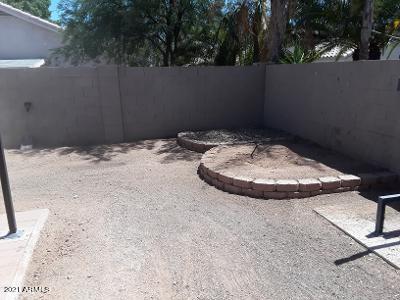 4957 Casper Road Mesa, AZ 85205 - Photo 11 of 24 back yard right