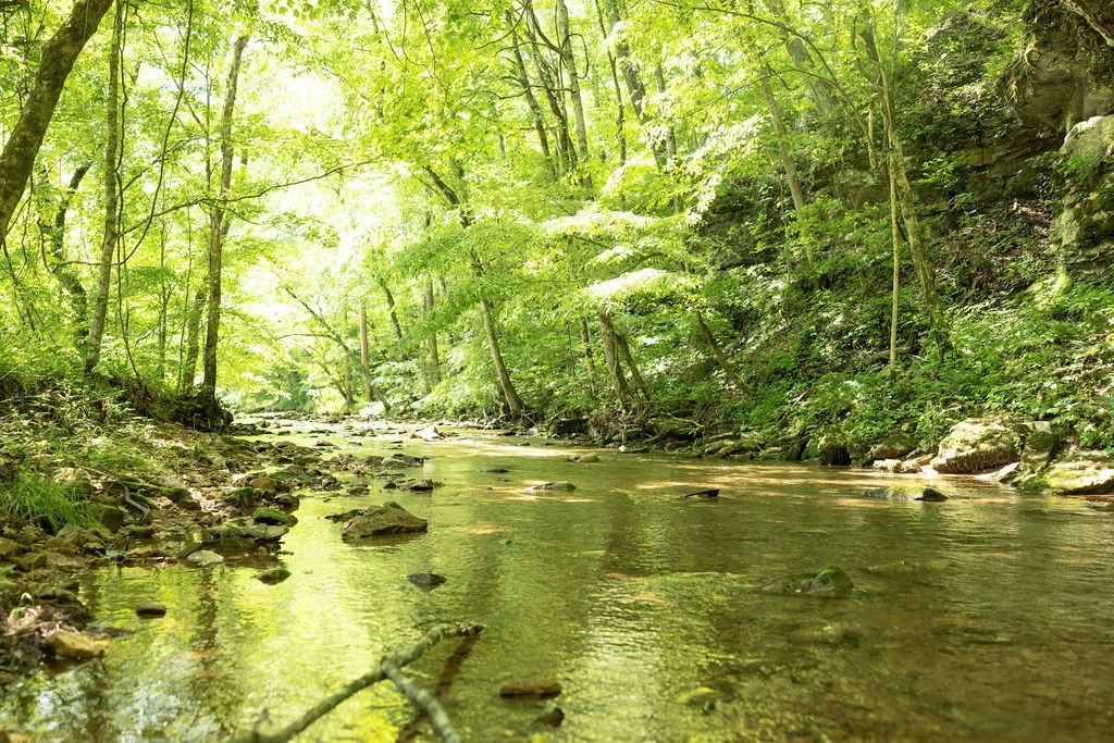 5590 Chambers Road Cumberland Furnace, TN 37051 - Photo 39 of 47