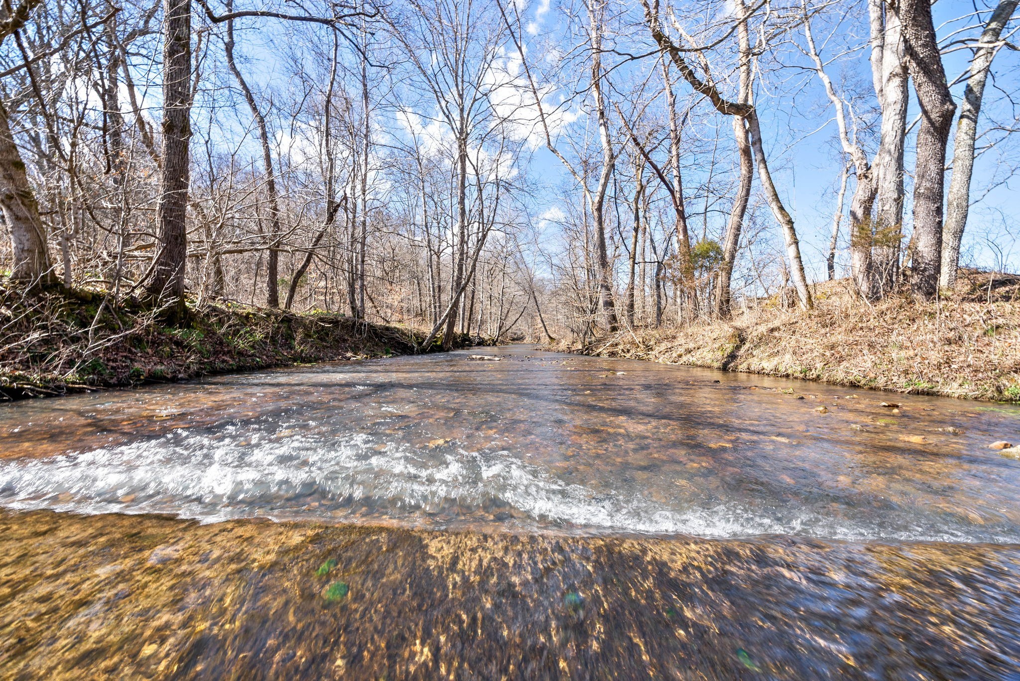 5590 Chambers Road Cumberland Furnace, TN 37051 - Photo 47 of 47 a view of road and covered with snow