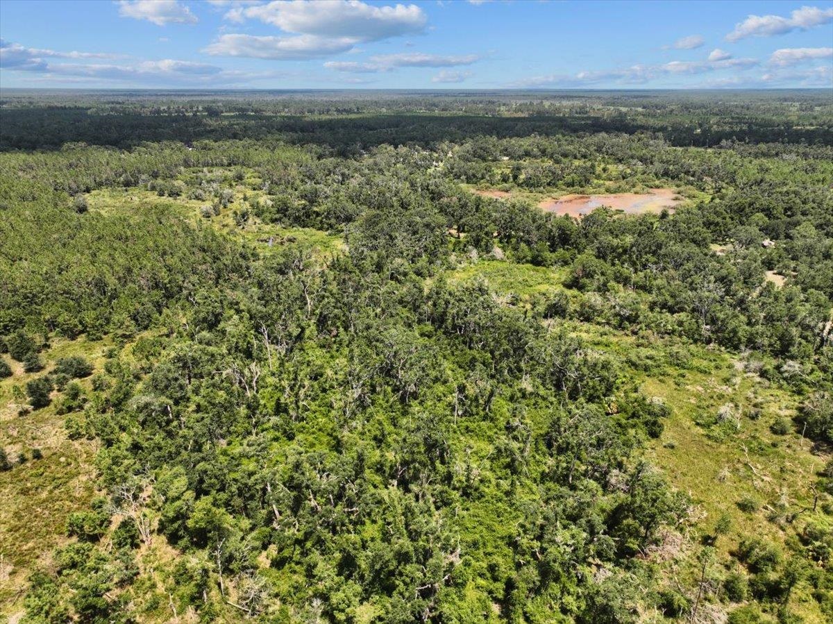 5582 H P Red Padgett Road Perry, FL 32348 - Photo 11 of 12