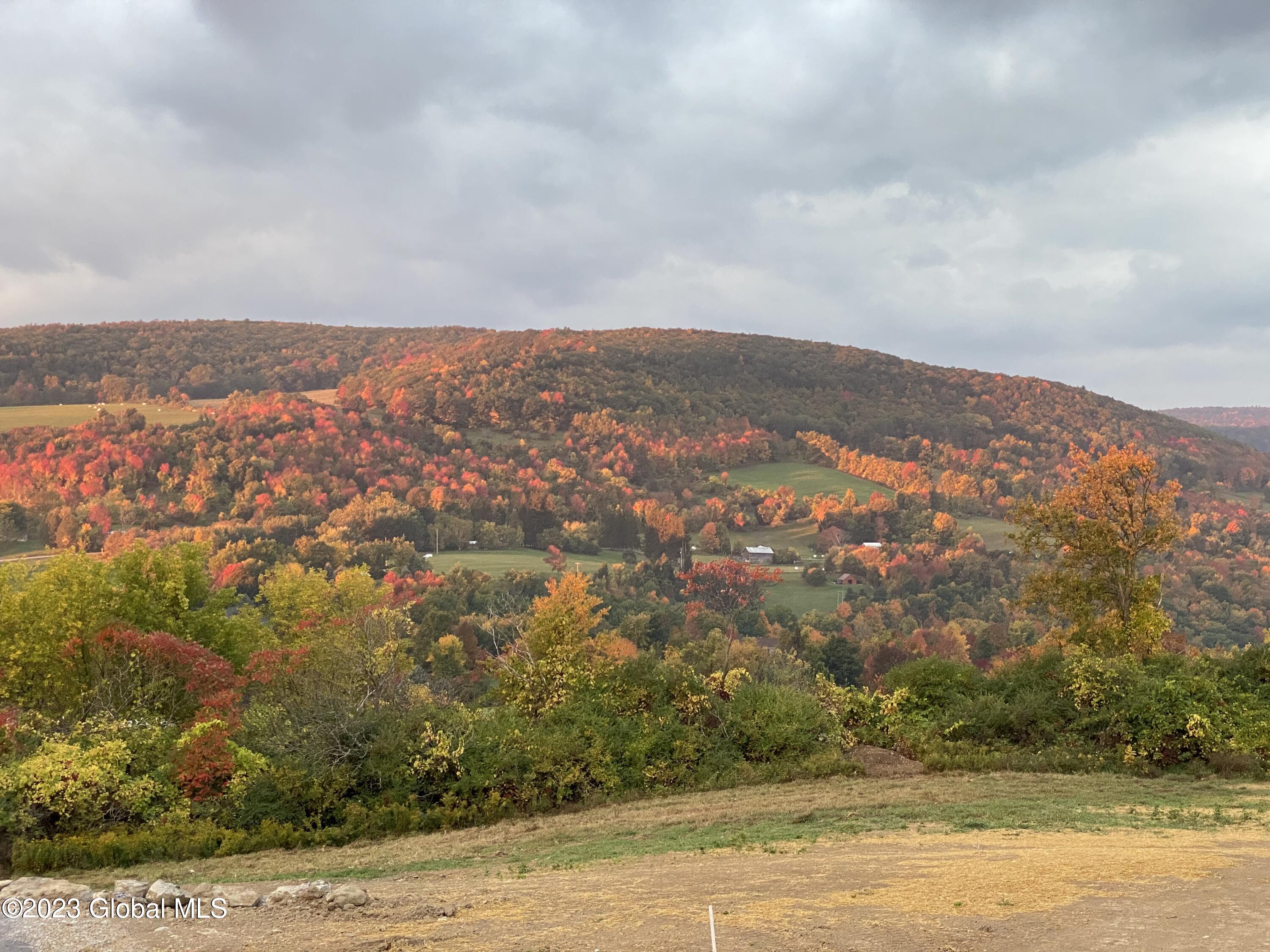 578 Terrace Mountain Road Schoharie, NY 12157 - Photo 122 of 147 IMG_2099