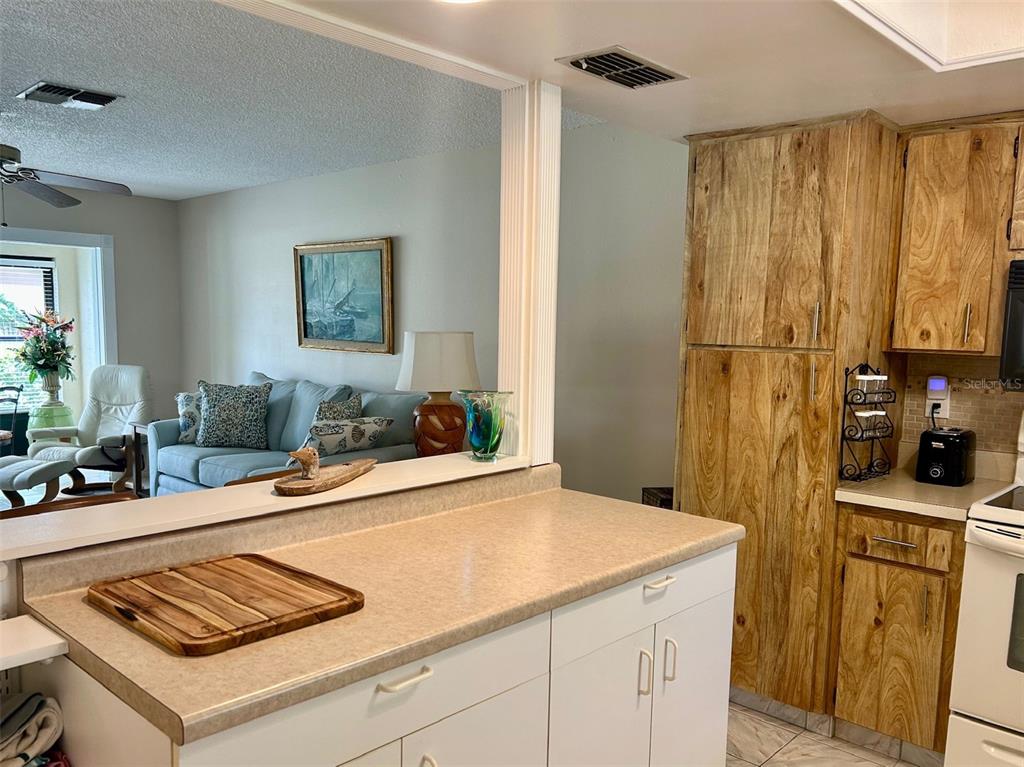 2567 Oakleaf Lane, Unit 41B Clearwater, FL 33763 - Photo 3 of 24 a room with sink and furniture