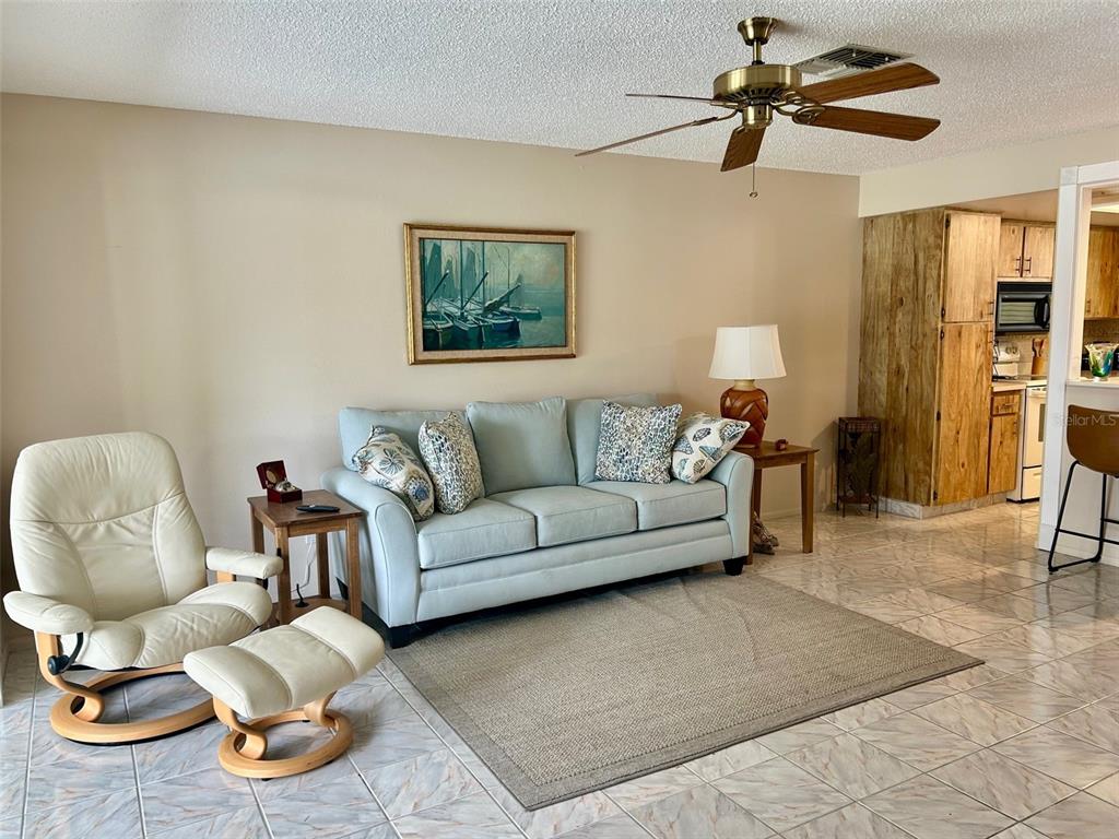 2567 Oakleaf Lane, Unit 41B Clearwater, FL 33763 - Photo 6 of 24 a living room with furniture and a rug