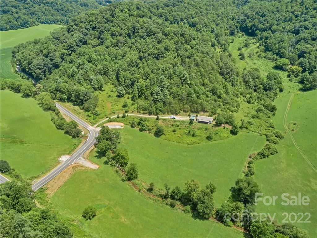 70 Sugar Cove Road Clyde, NC 28721 - Photo 20 of 21 a lush green forest with lots of trees