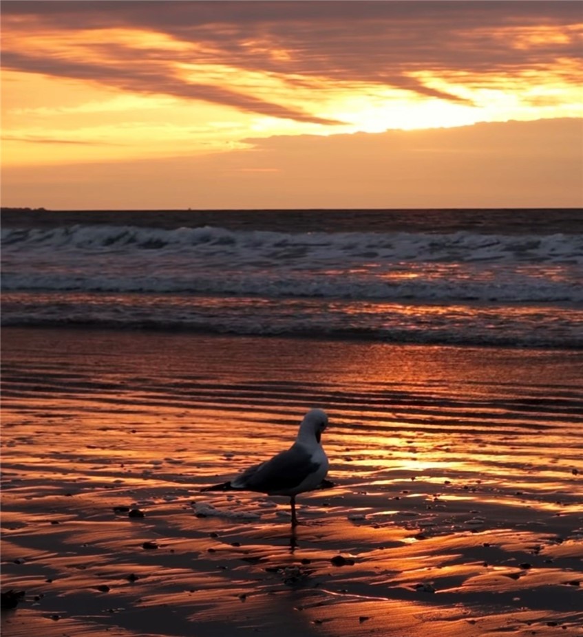 56 Sand Hill Cove Road Narragansett, RI 02882 - Photo 11 of 14