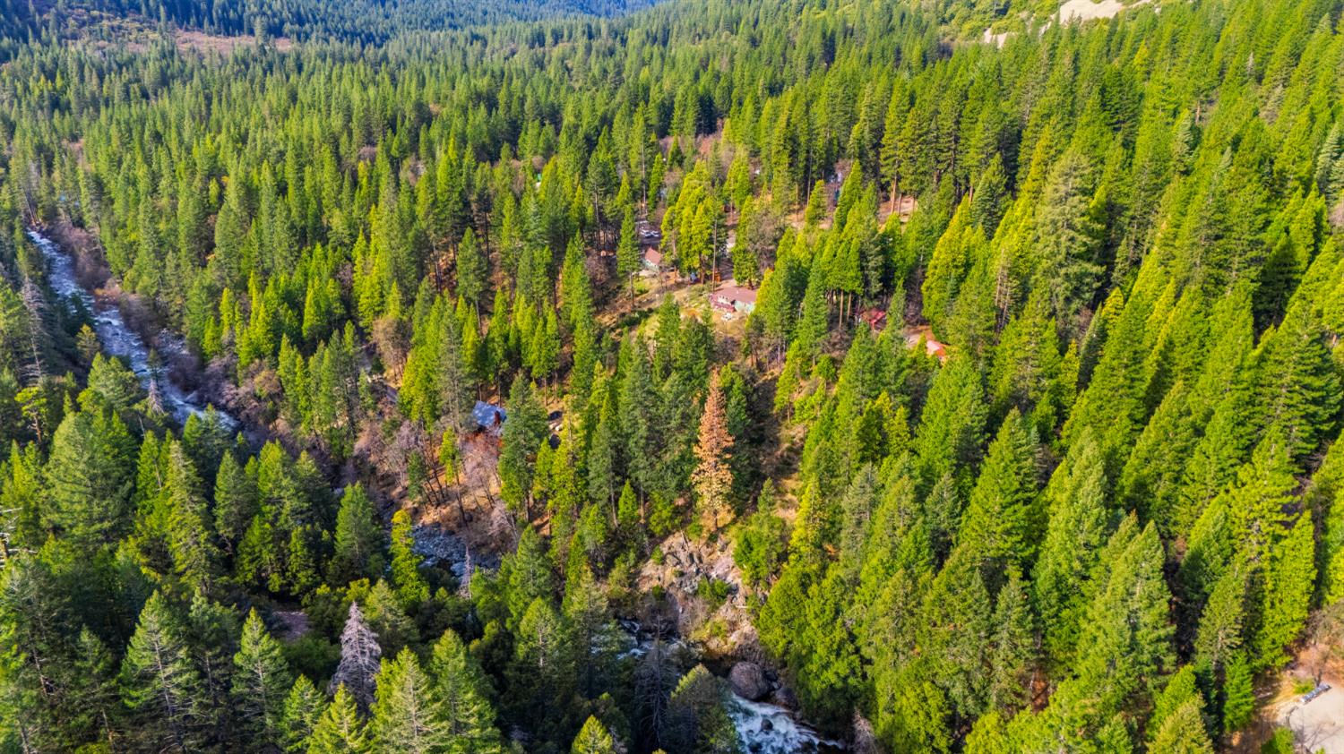 38 Valhalla Road Sierra City, CA 96125 - Photo 23 of 27