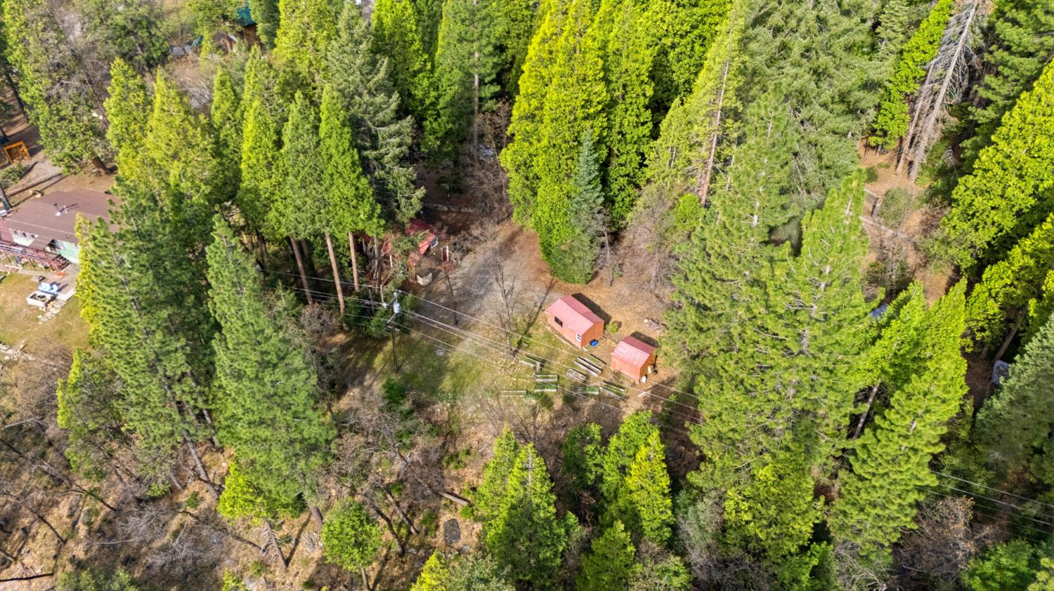 38 Valhalla Road Sierra City, CA 96125 - Photo 25 of 27