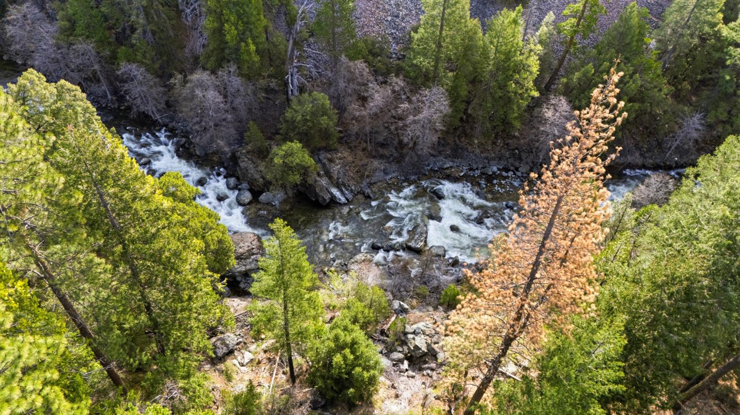 38 Valhalla Road Sierra City, CA 96125 - Photo 26 of 27