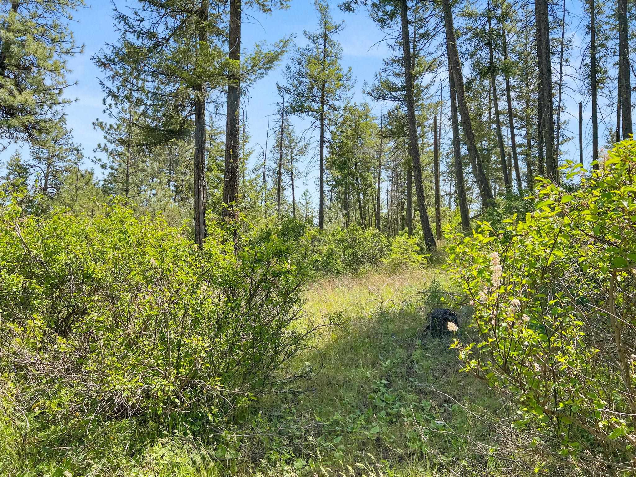 0 West Highland Road Ford, WA 99013 - Photo 30 of 41