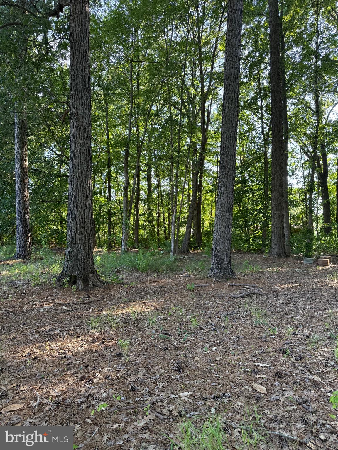 2103 Church Creek Road Cambridge, MD 21613 - Photo 12 of 39 Gallery Image 12