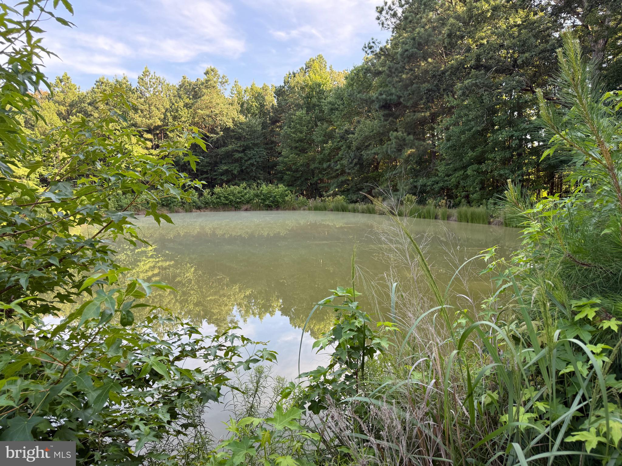 2103 Church Creek Road Cambridge, MD 21613 - Photo 13 of 39 Gallery Image 13